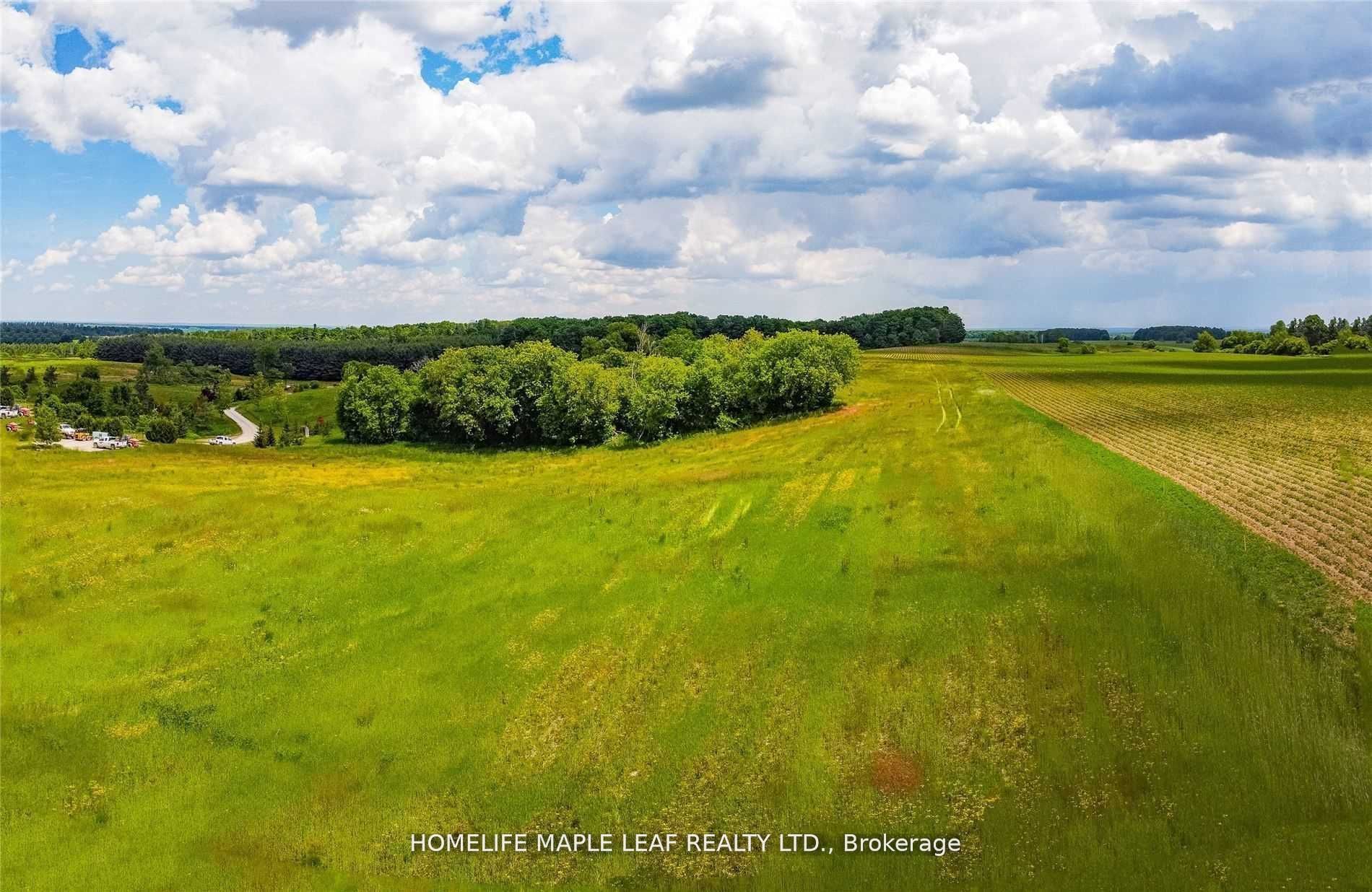 958423 7th Line Property Photo 28