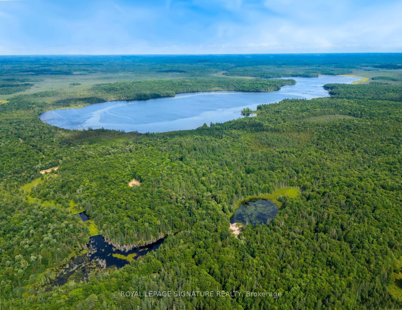 Lot 12 Axe Lake Road Property Photo 1