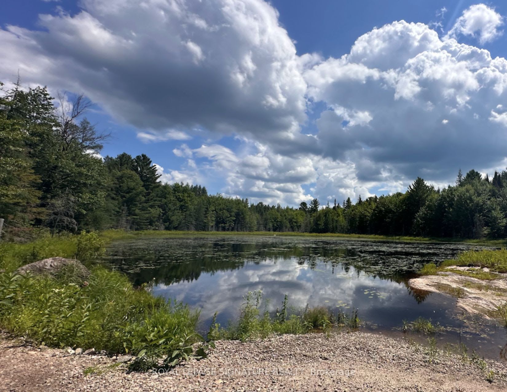Lot 12 Axe Lake Road Property Photo 6