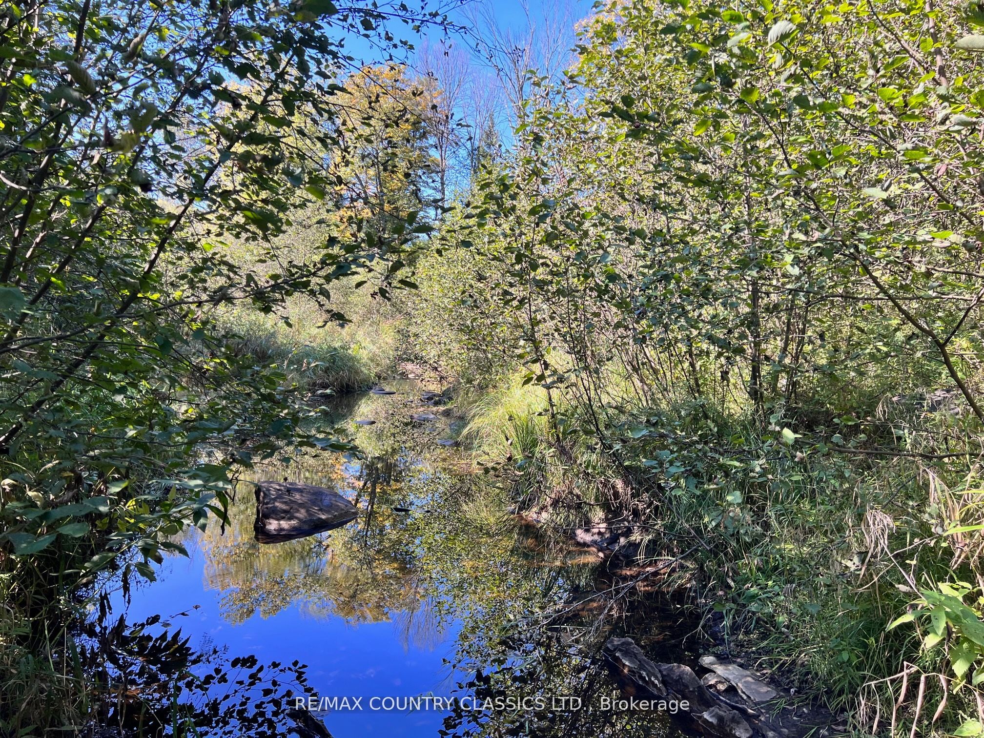 634 Lower Turriff Road Property Photo 25