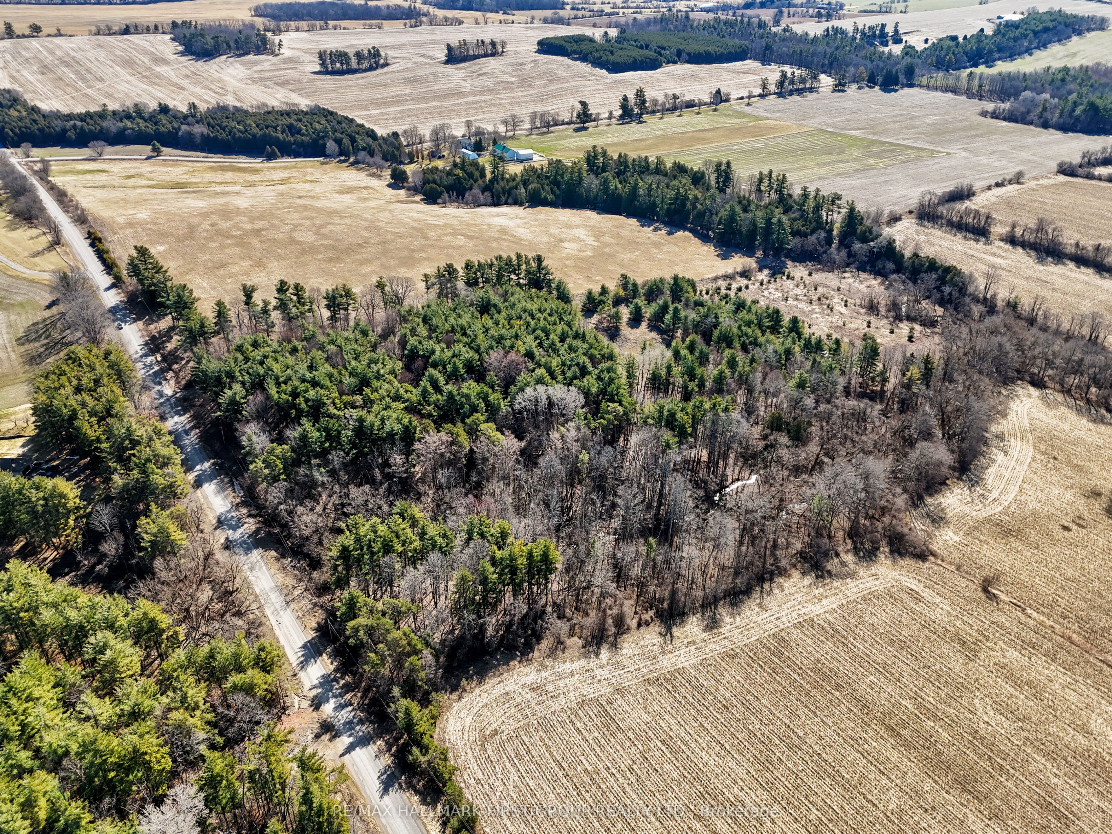 7273 Vimy Ridge Road Property Photo 5