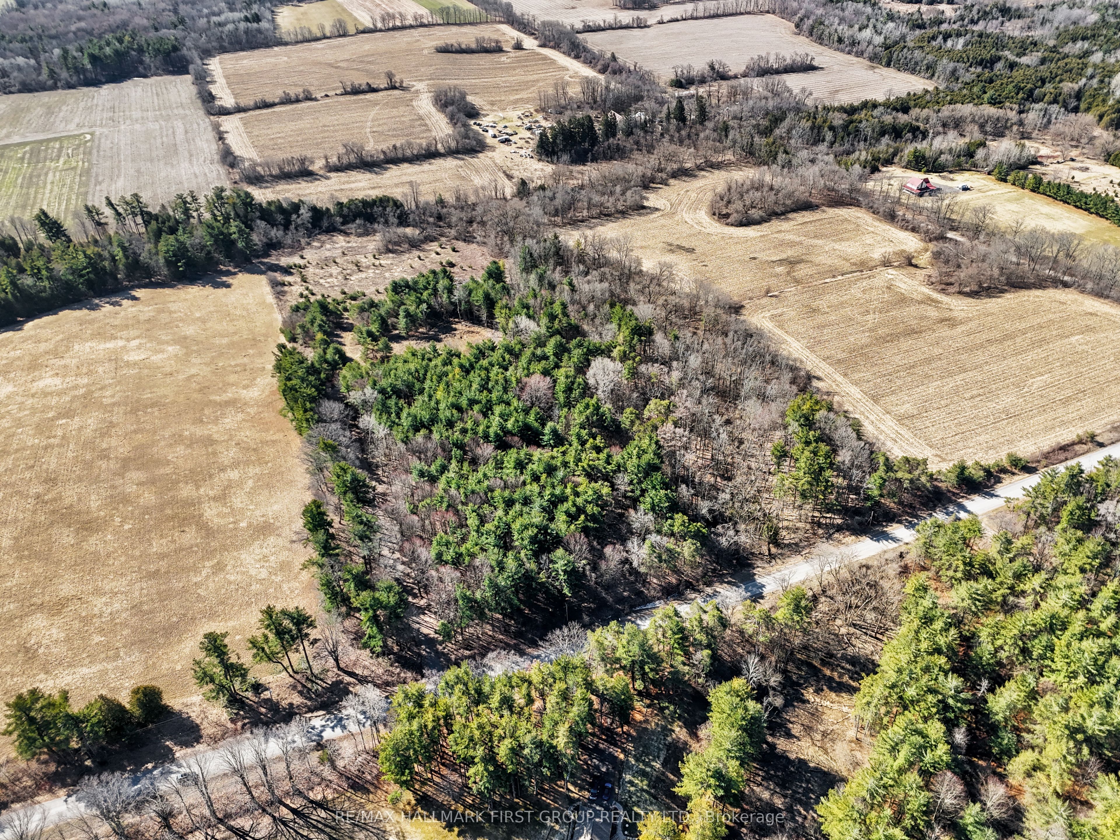 7273 Vimy Ridge Road Property Photo 7