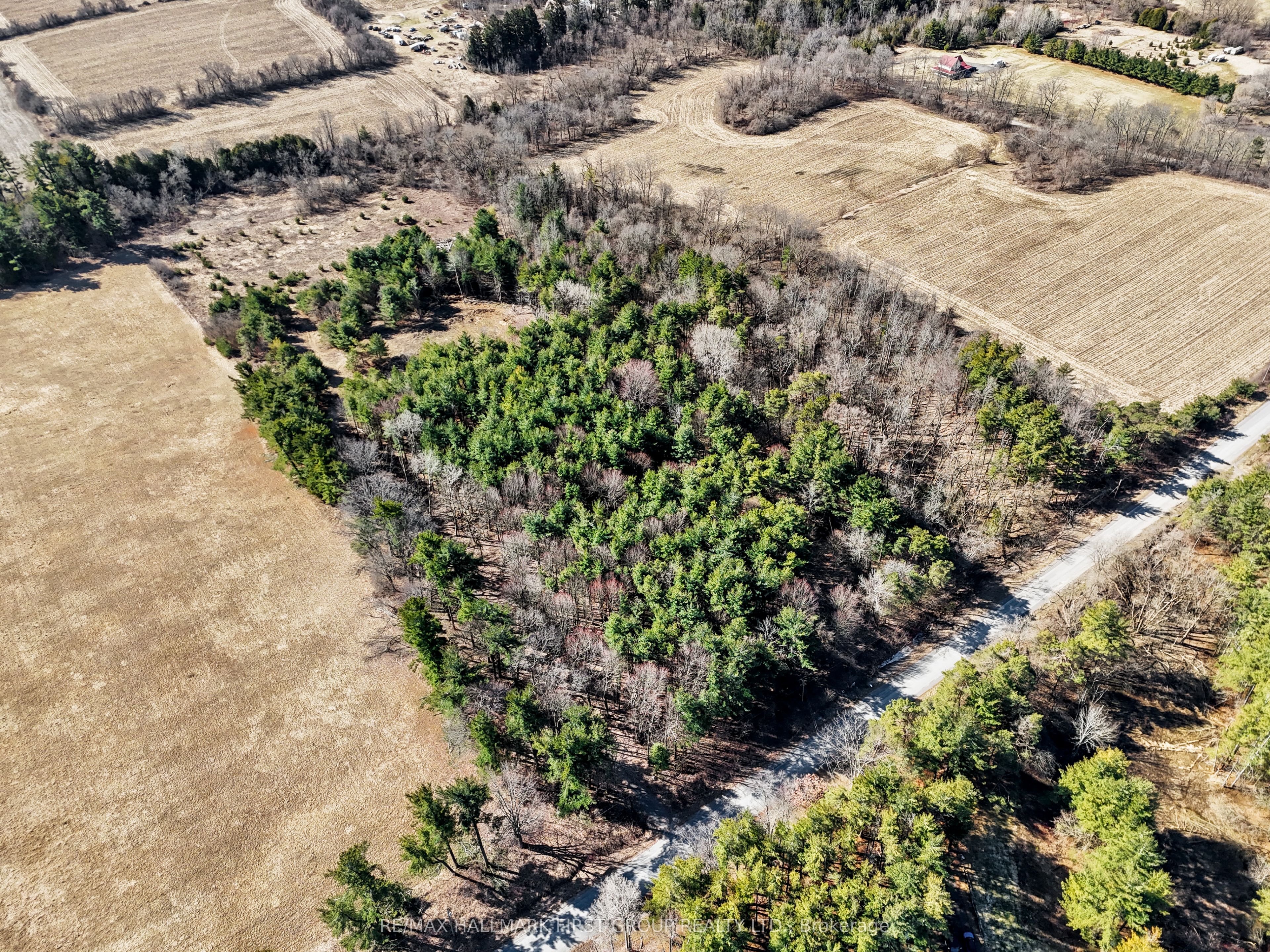 7273 Vimy Ridge Road Property Photo 8