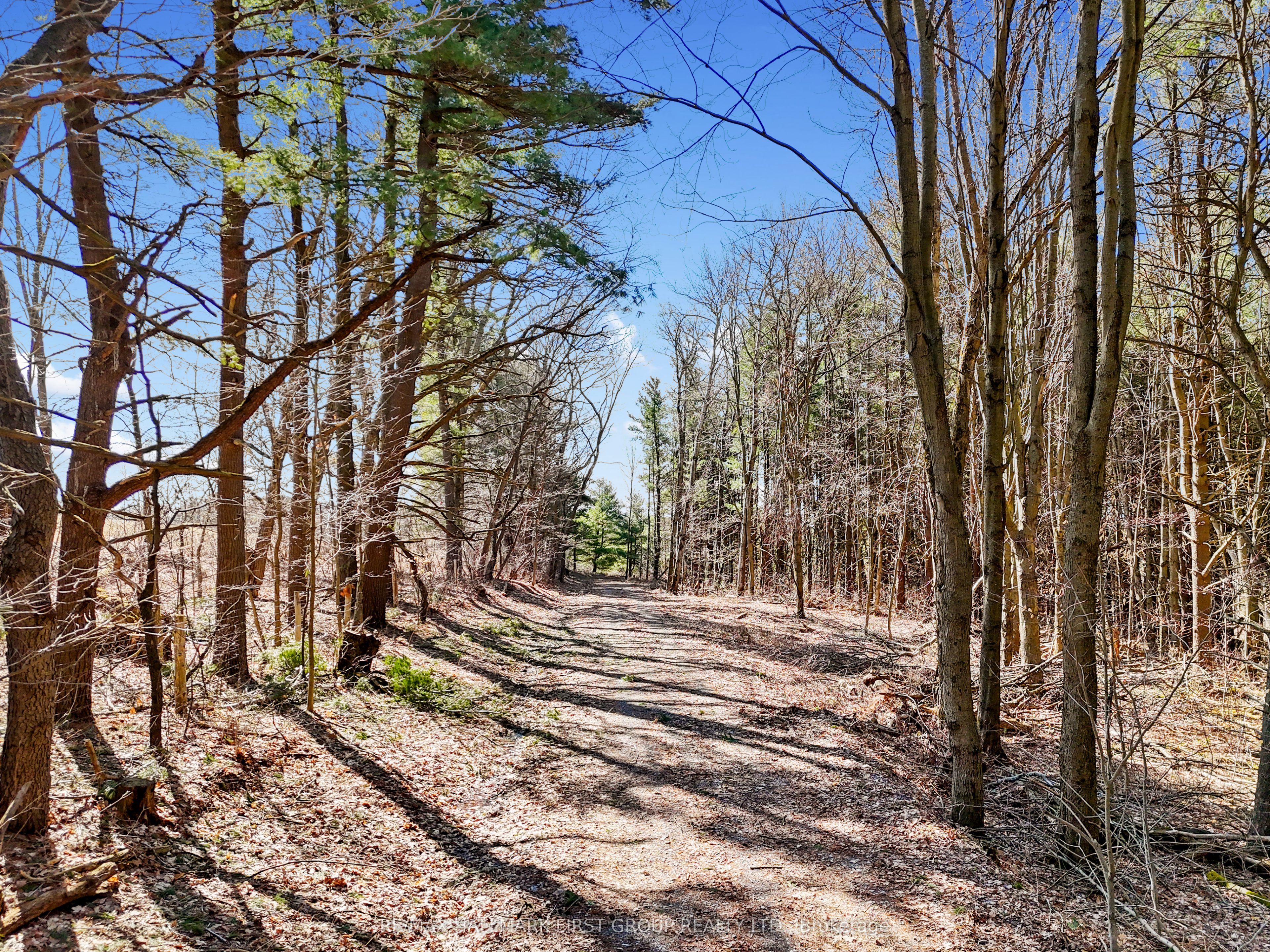 7273 Vimy Ridge Road Property Photo 15
