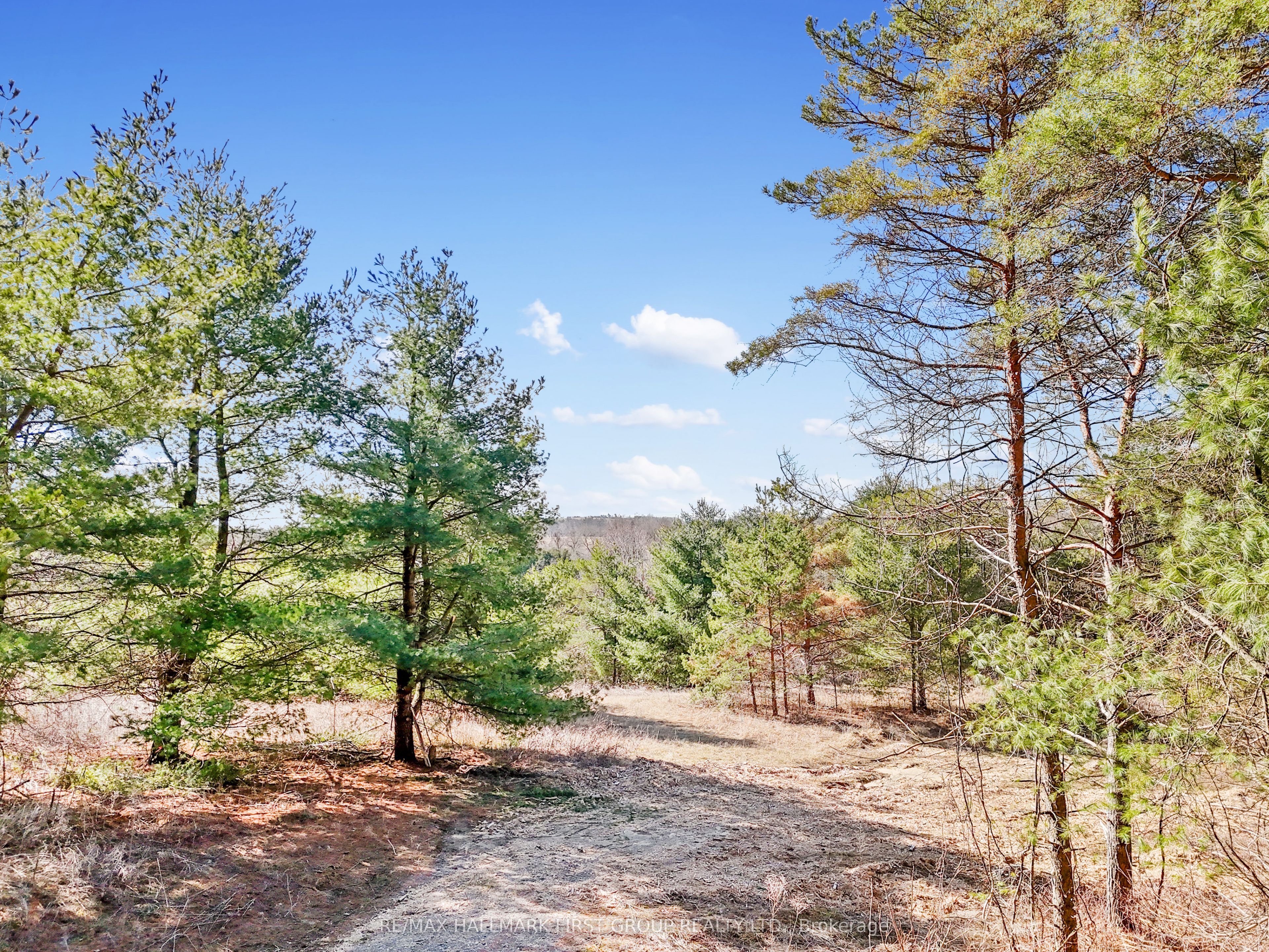 7273 Vimy Ridge Road Property Photo 16