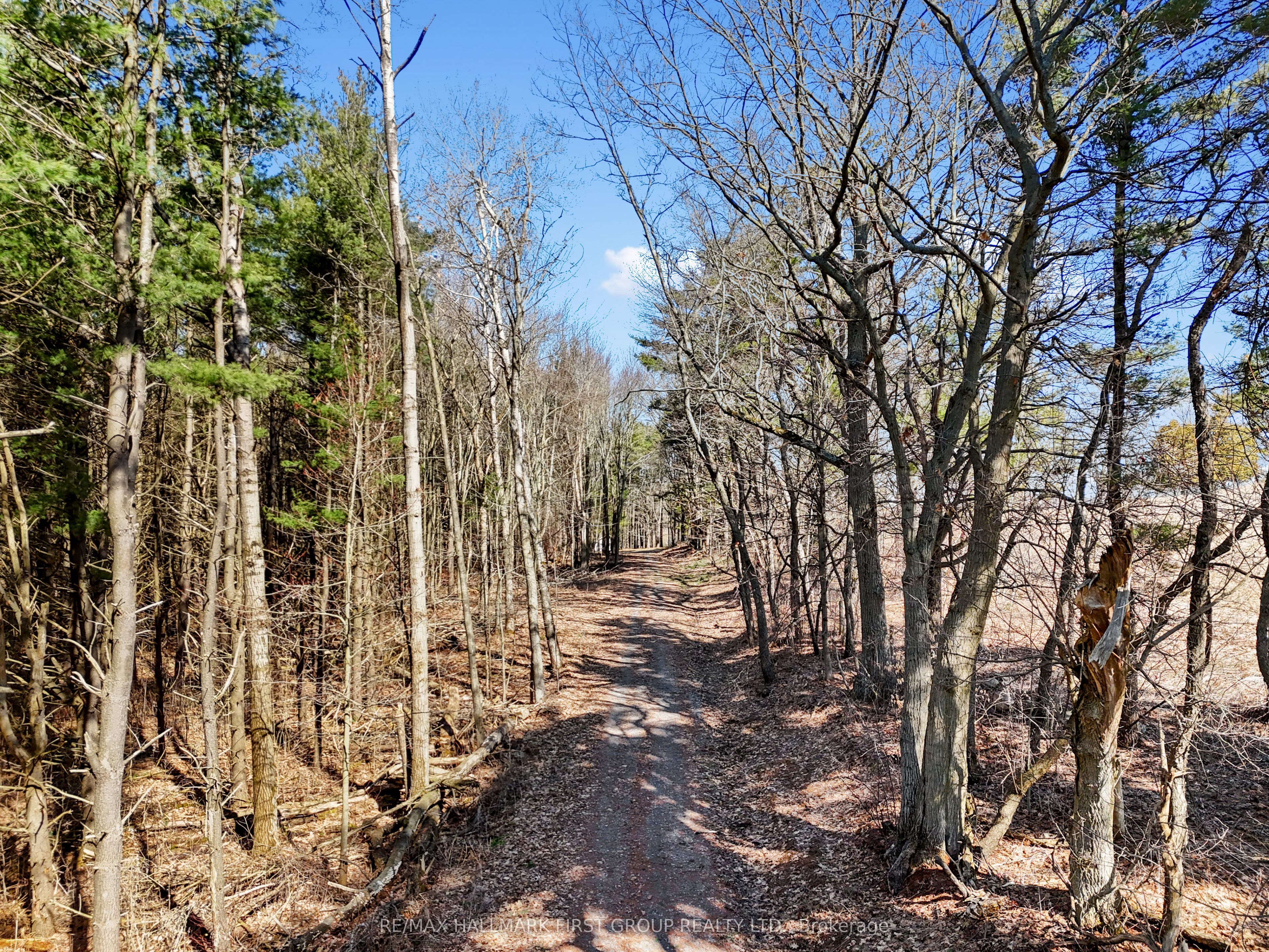 7273 Vimy Ridge Road Property Photo 17