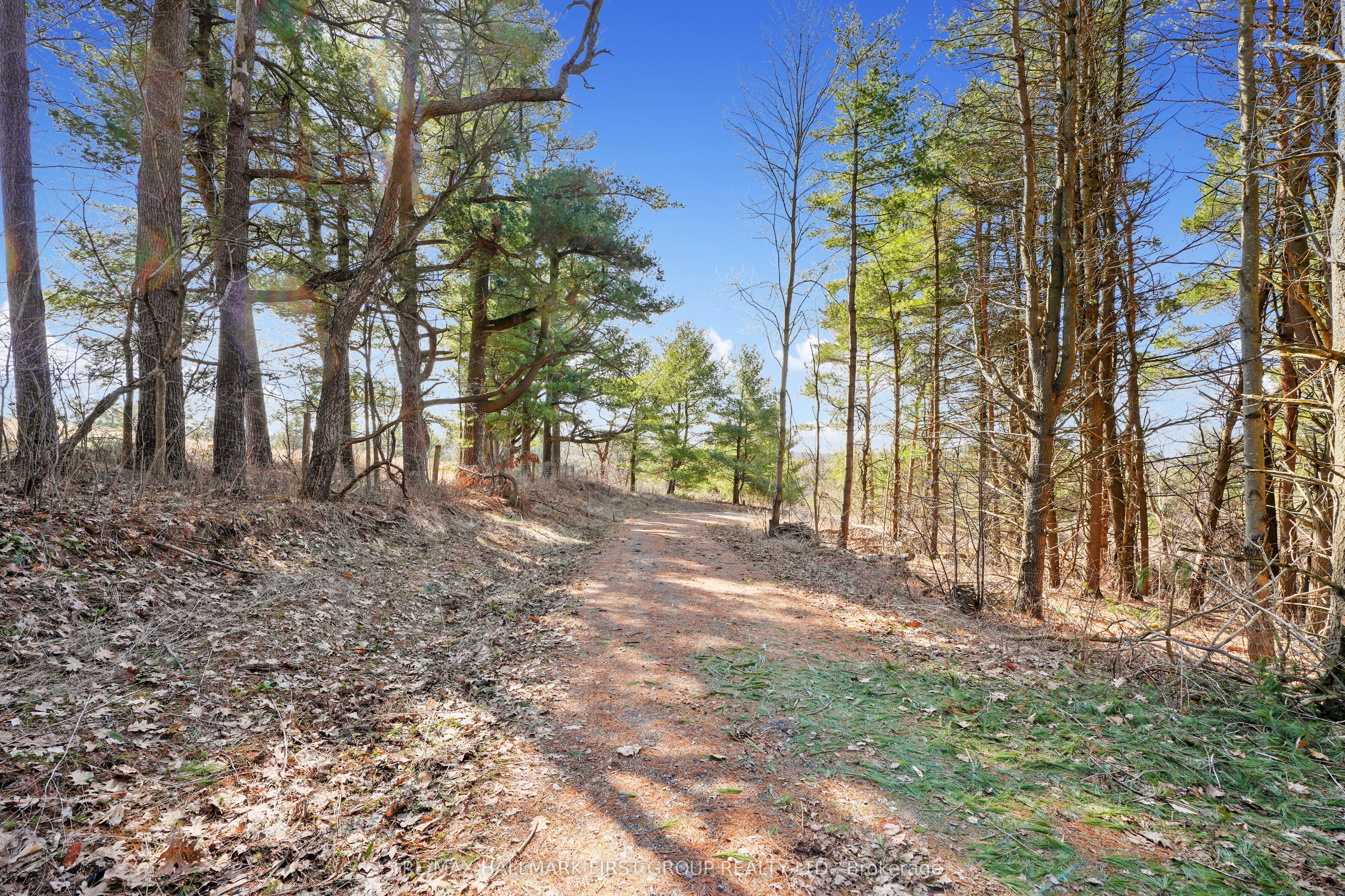 7273 Vimy Ridge Road Property Photo 18