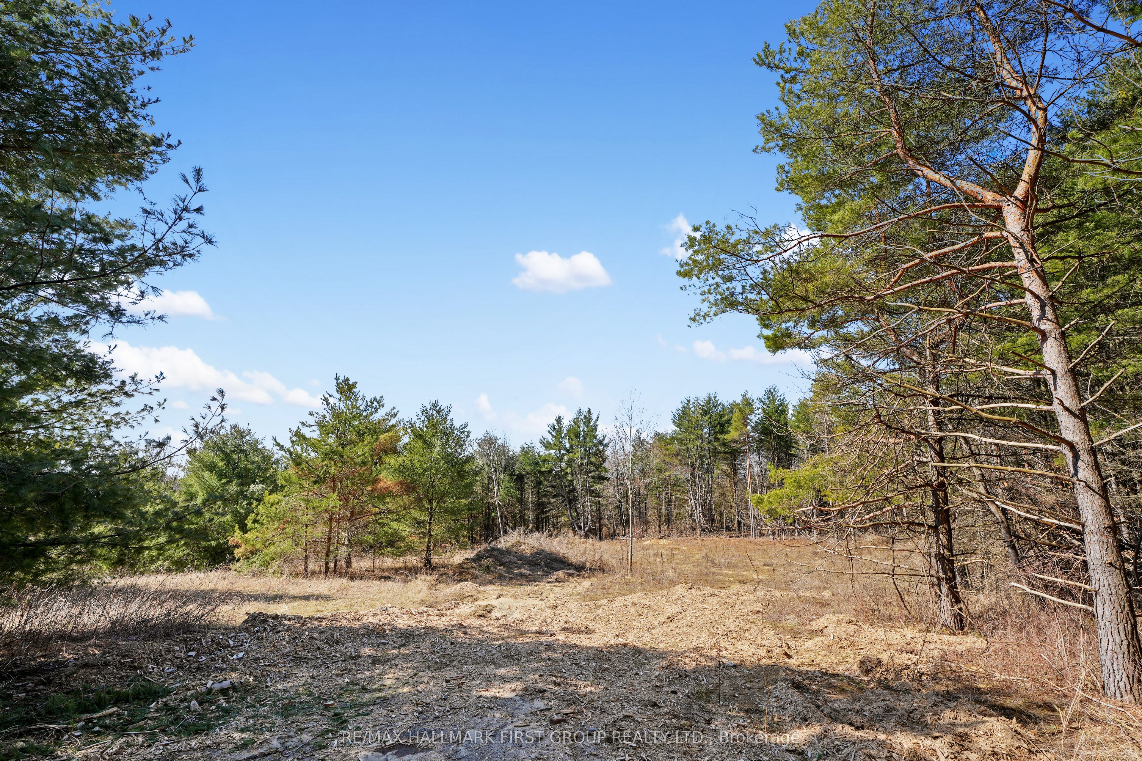 7273 Vimy Ridge Road Property Photo 19
