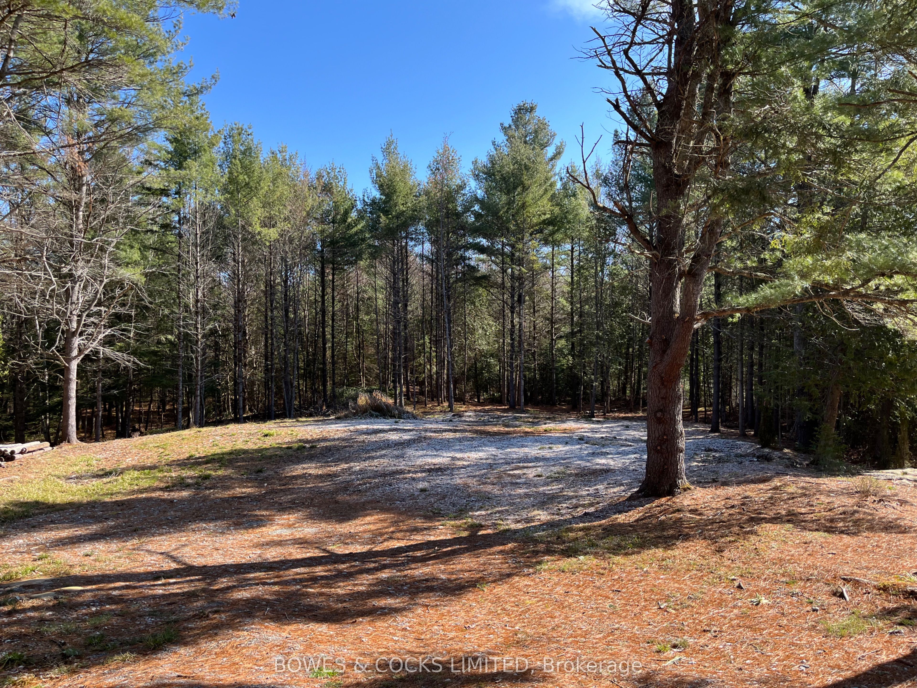 942 Balmer Road Property Photo 2