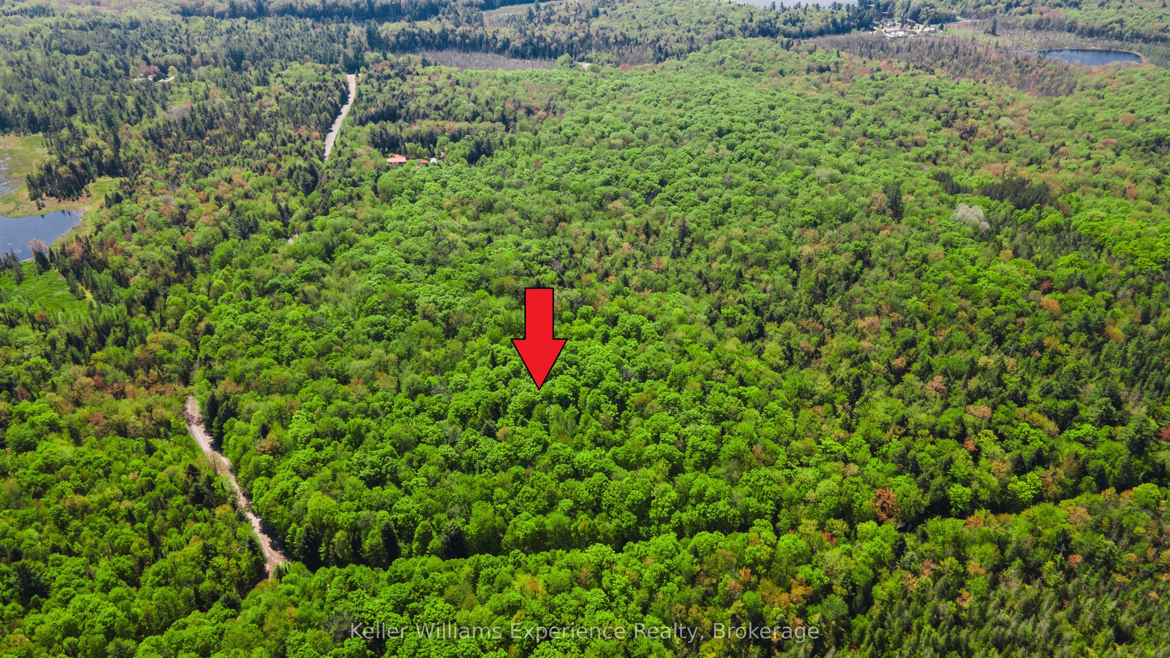 0 Healey Lake Road Property Photo 1