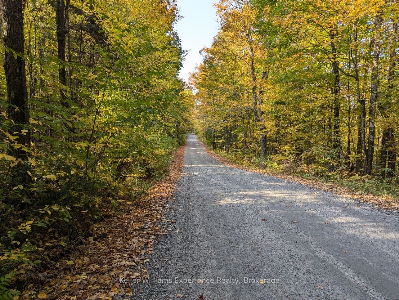 0 Healey Lake Road Property Photo 7