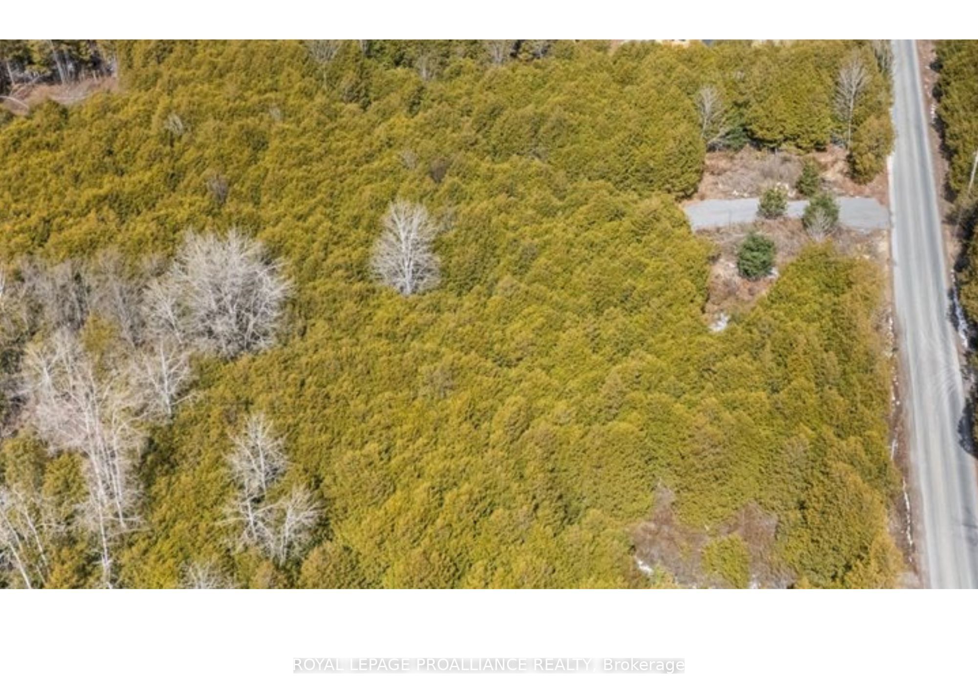 781 Carson Road Property Photo 3