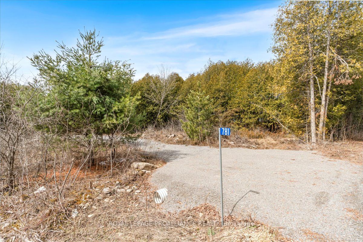781 Carson Road Property Photo 4