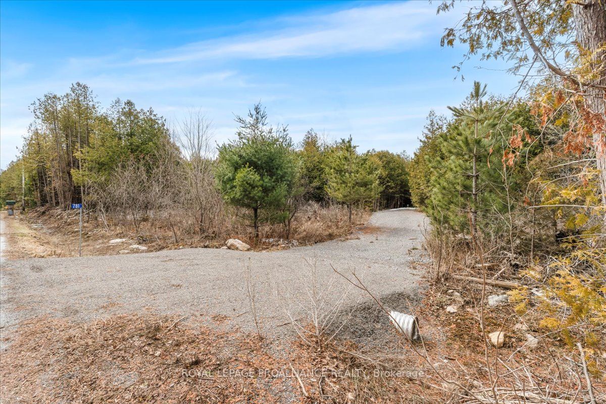 781 Carson Road Property Photo 5