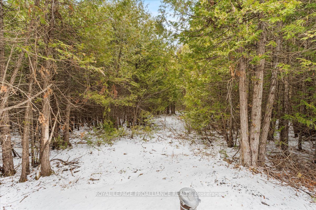 781 Carson Road Property Photo 9