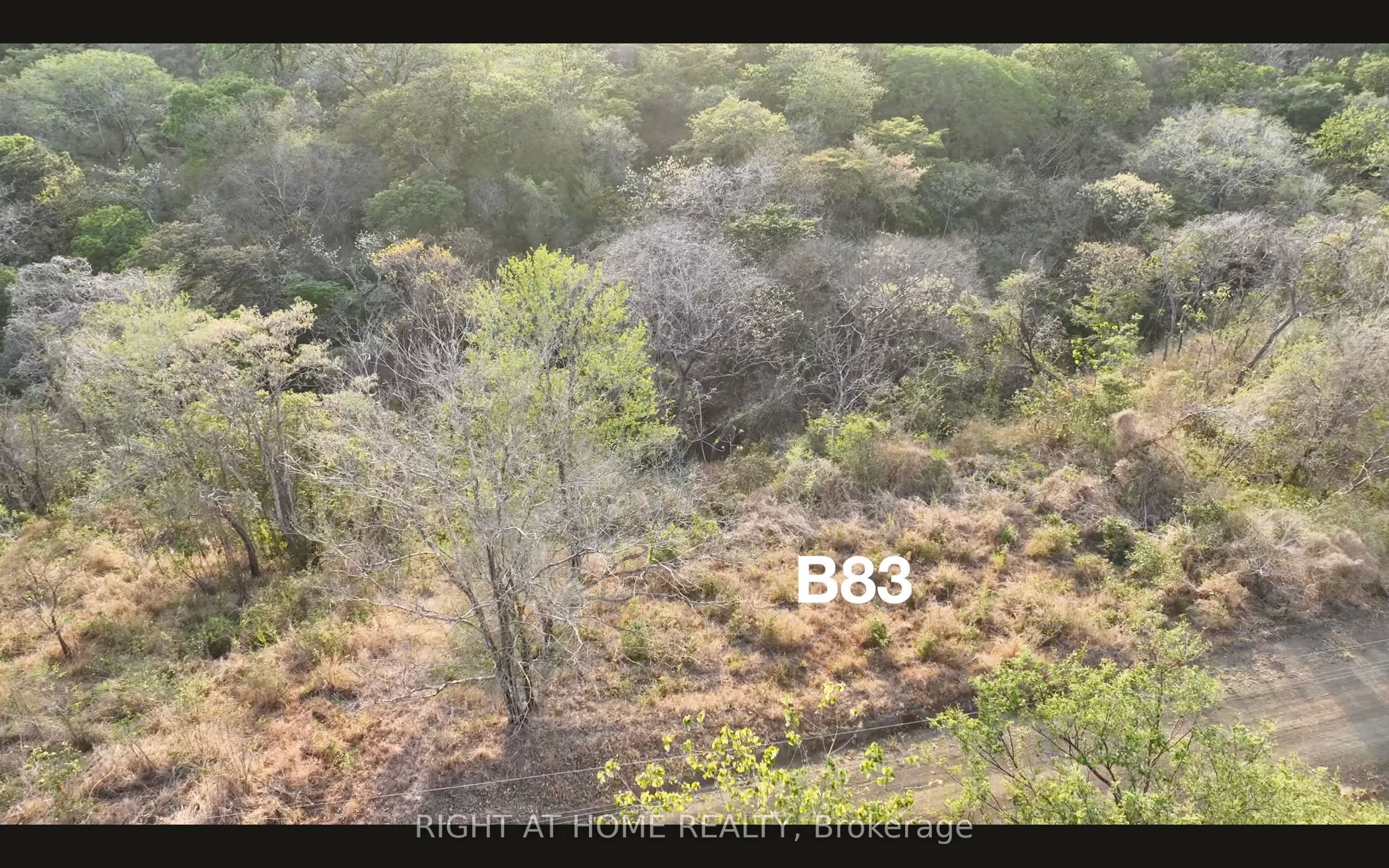 #b83 - 1 Playa Lagarto Road Property Photo 22