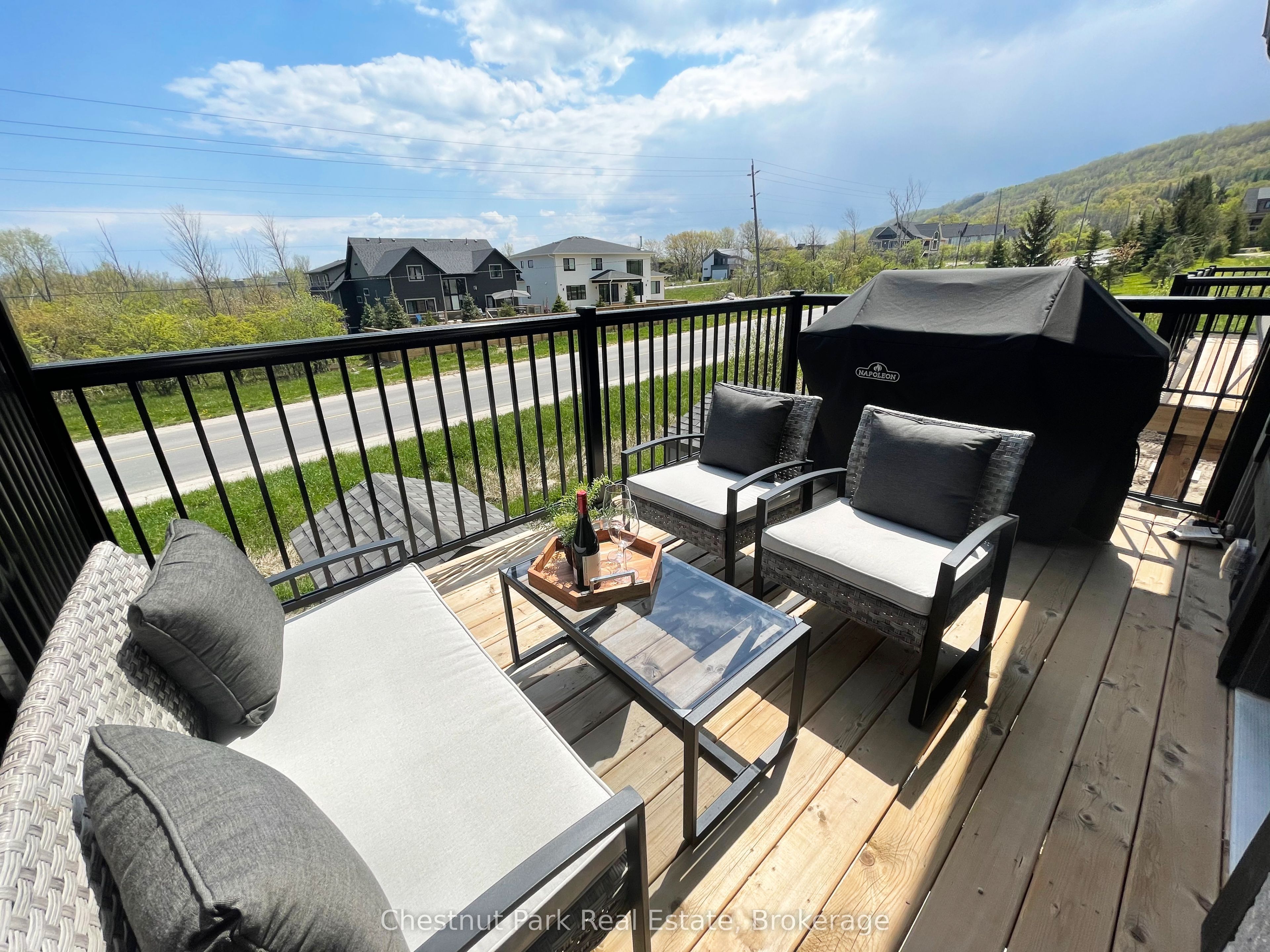 106 Alpine Springs Court 10 Property Photo 45