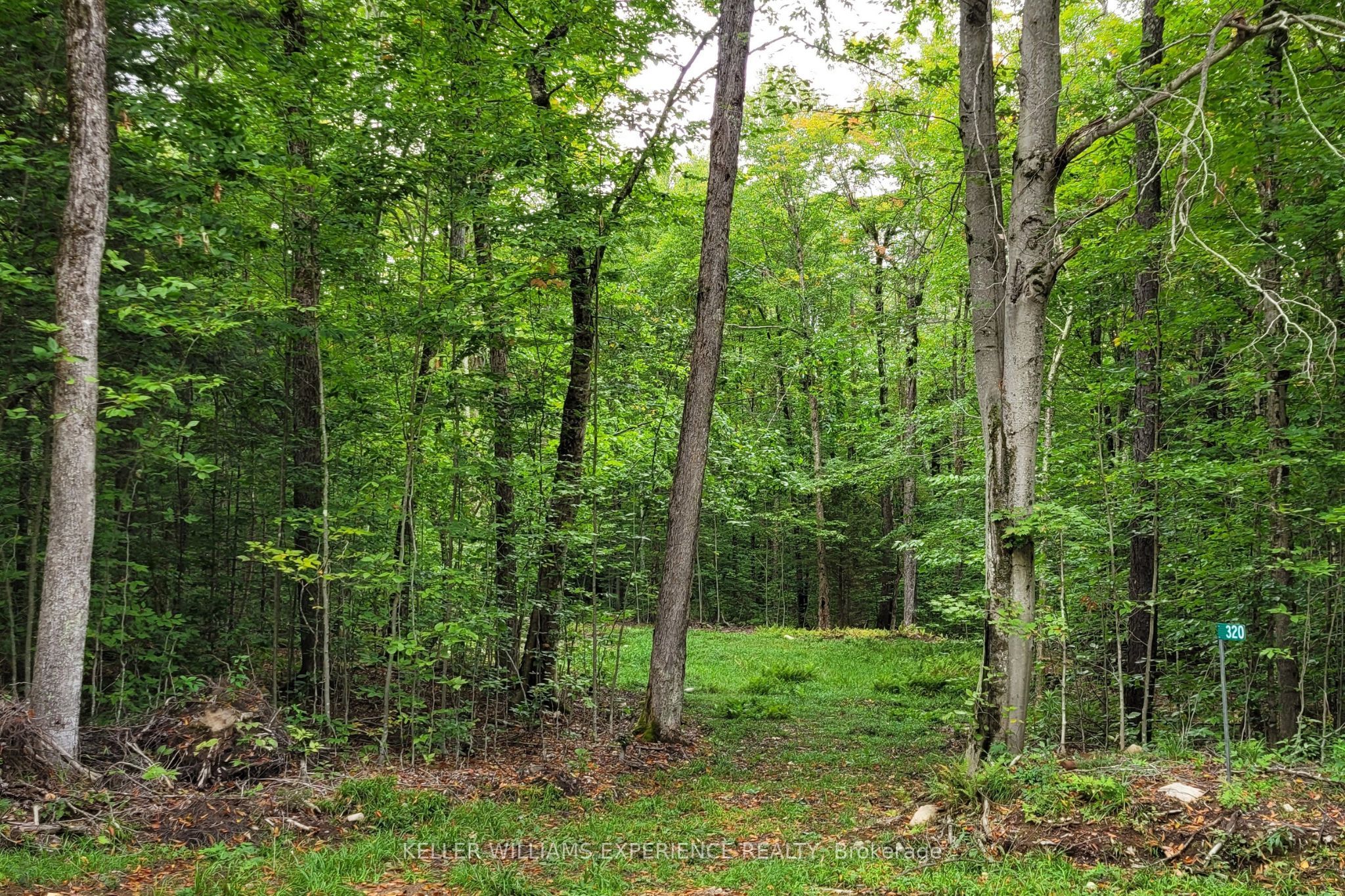 320 Proudfoot Road Property Photo 1