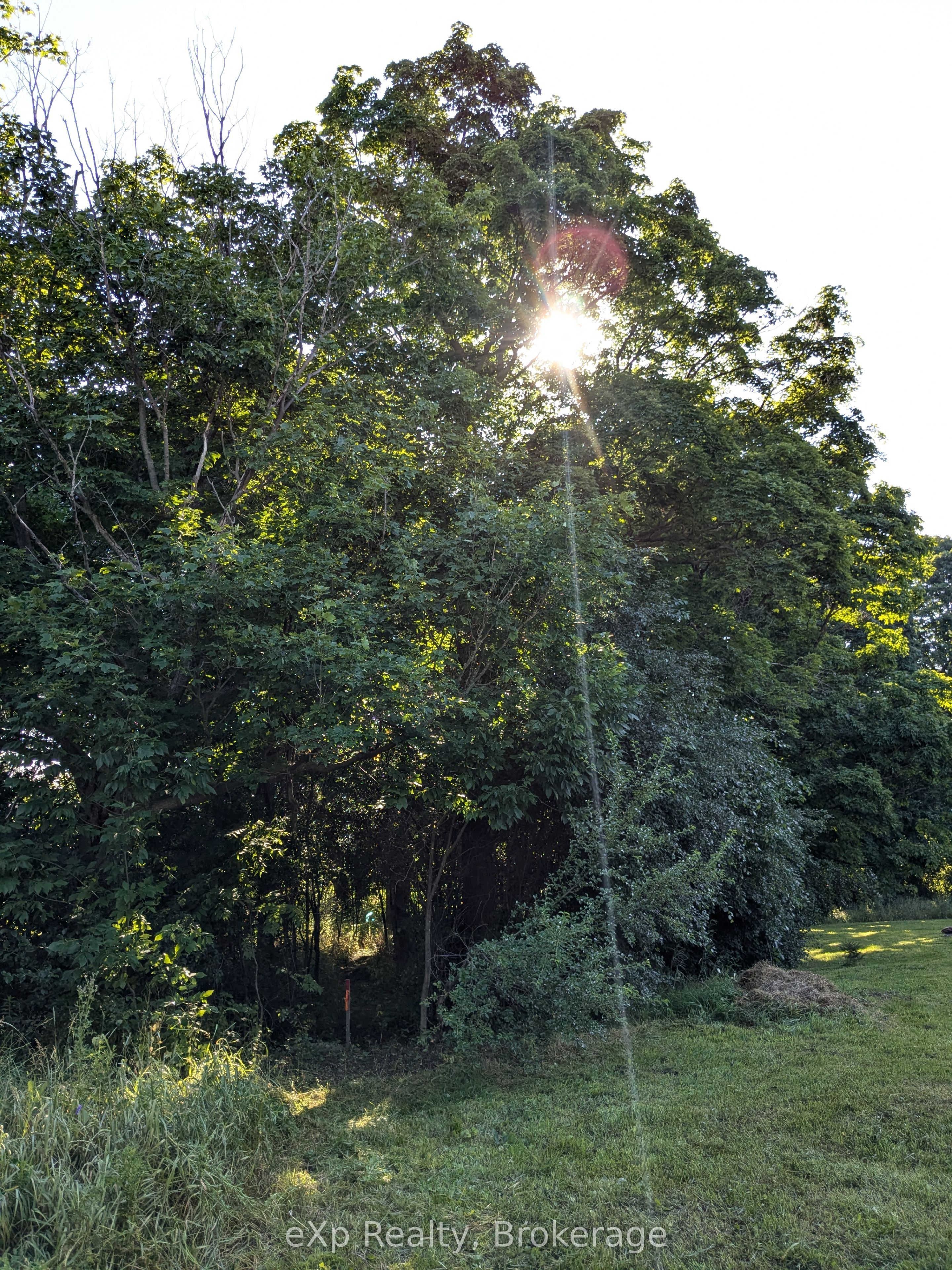 Part 1 9th Avenue Property Photo 7