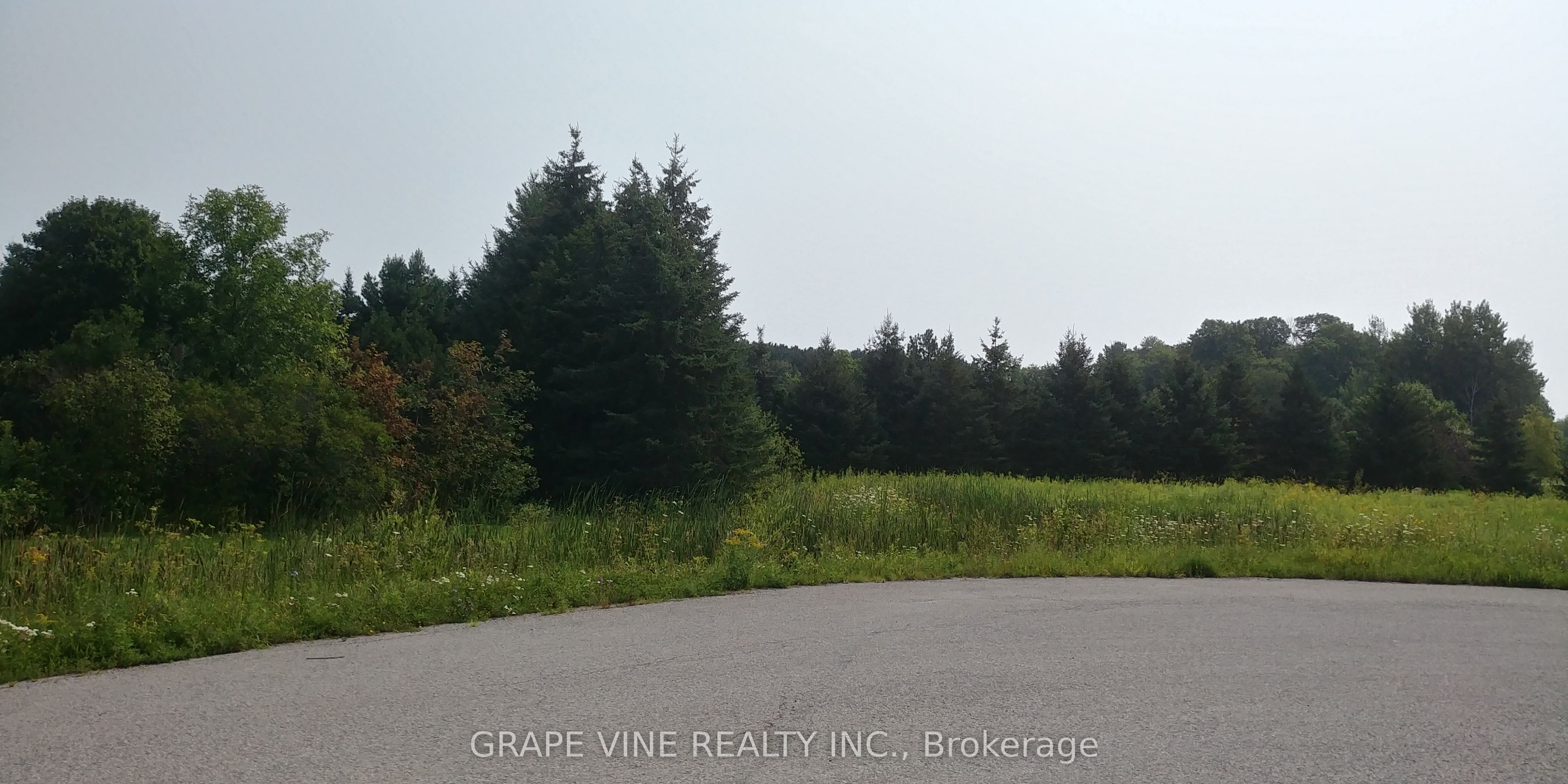 1570 Stackhouse Court Property Photo 3