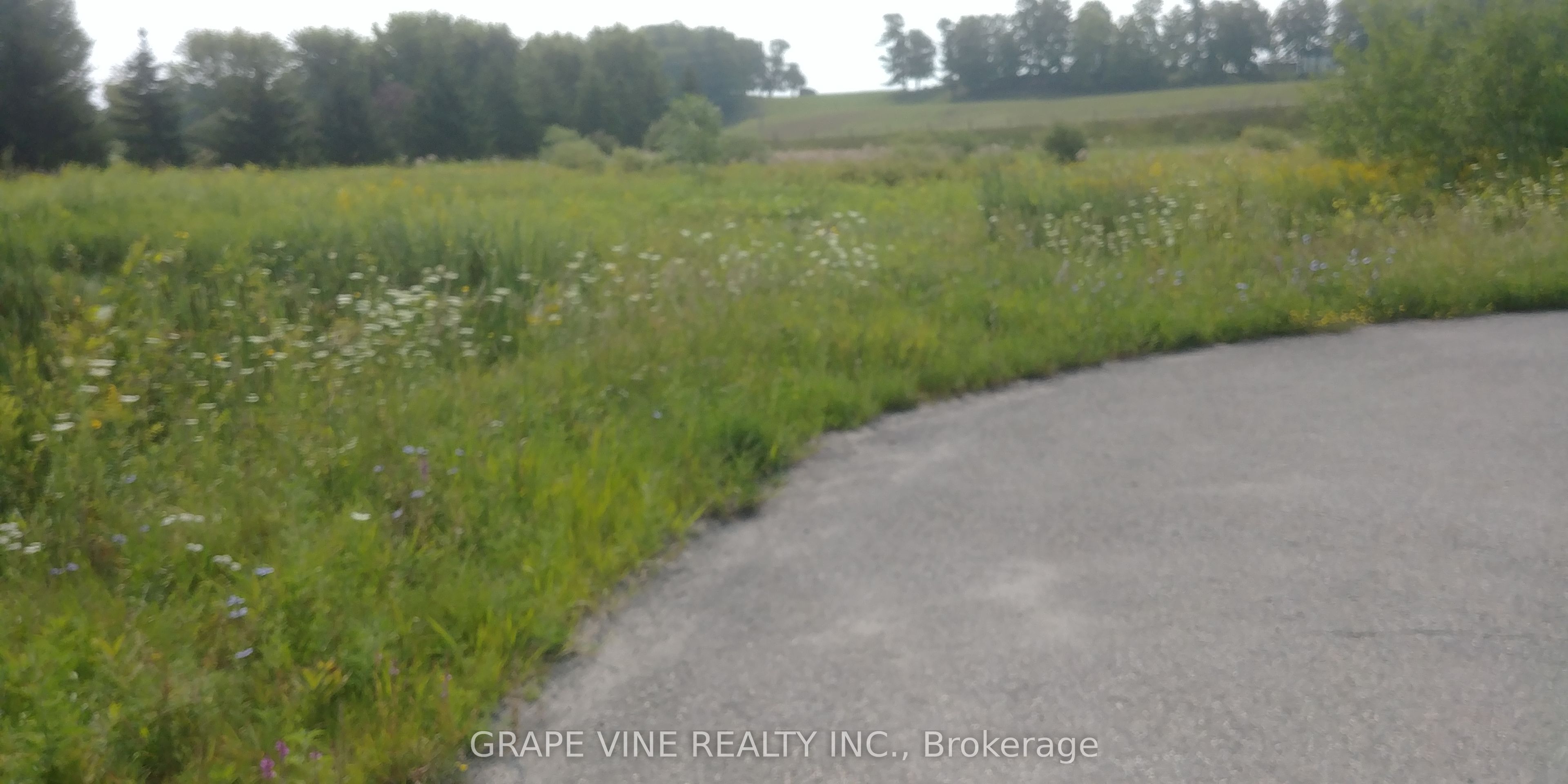 1570 Stackhouse Court Property Photo 4