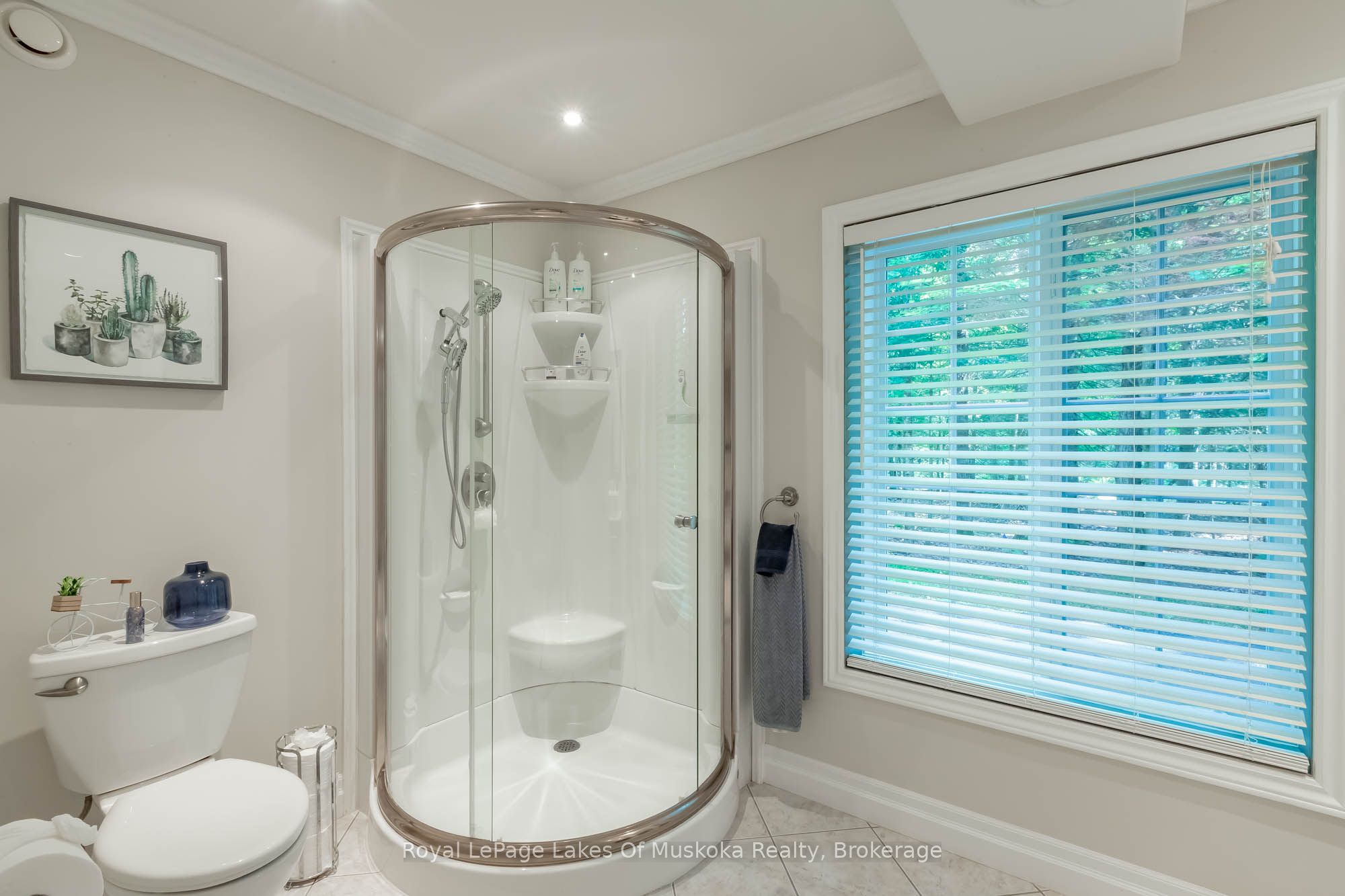 24 Birchwood Drive Property Photo 34