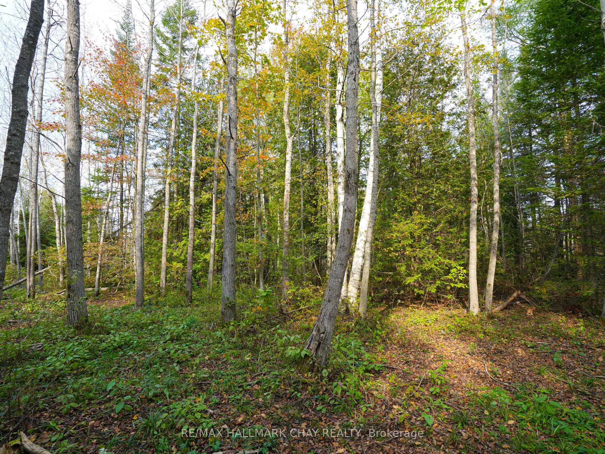 793510 Grey Road 124 Road Property Photo 10