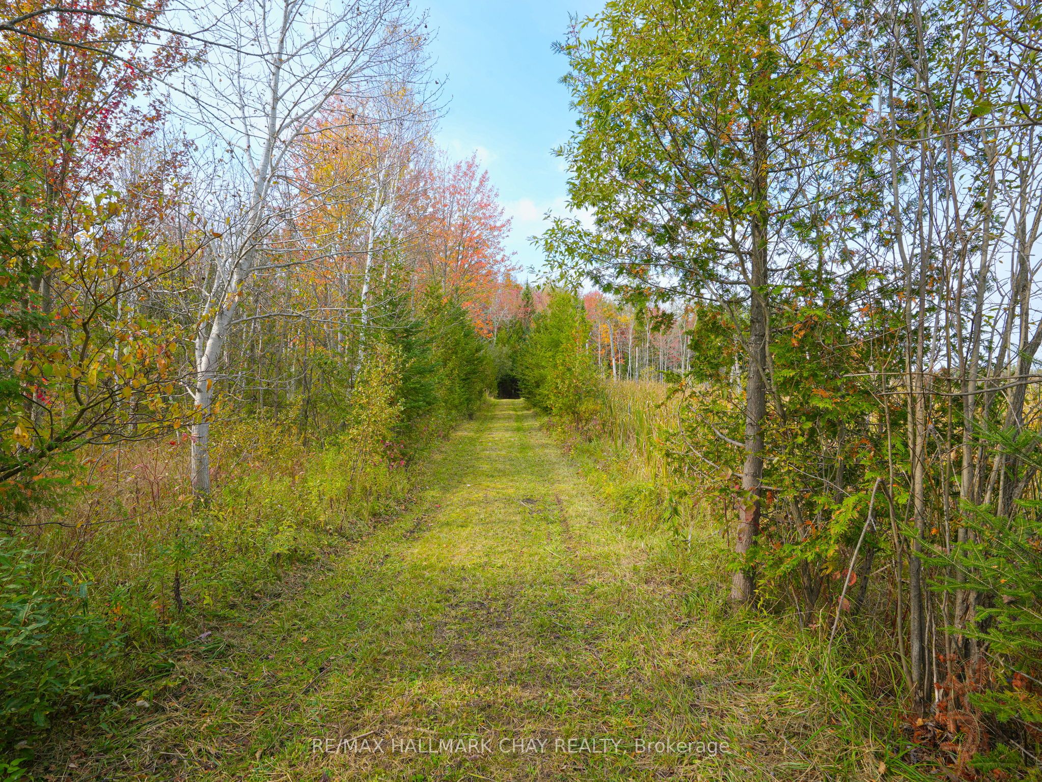 793510 Grey Road 124 Road Property Photo 11