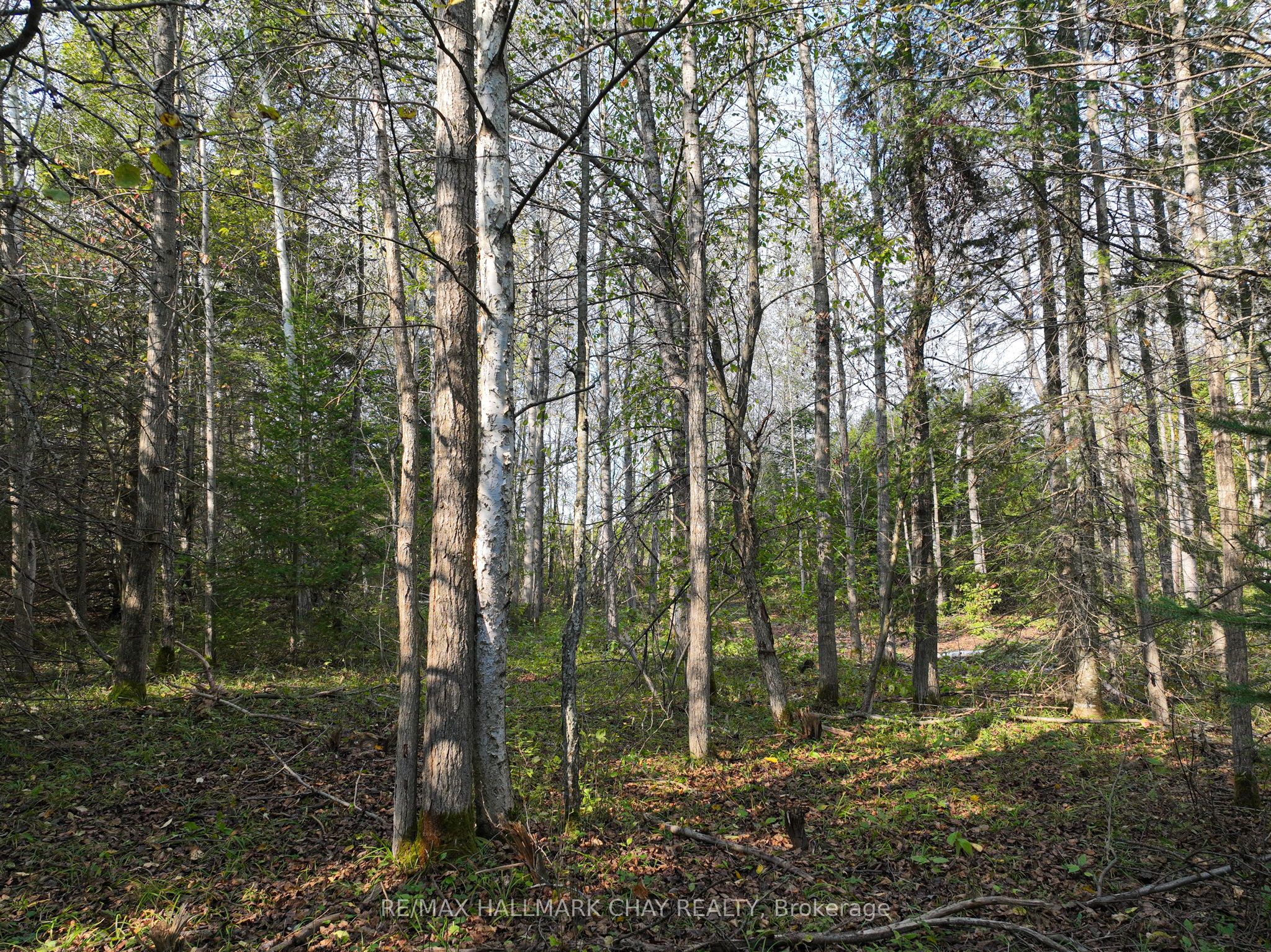 793510 Grey Road 124 Road Property Photo 14