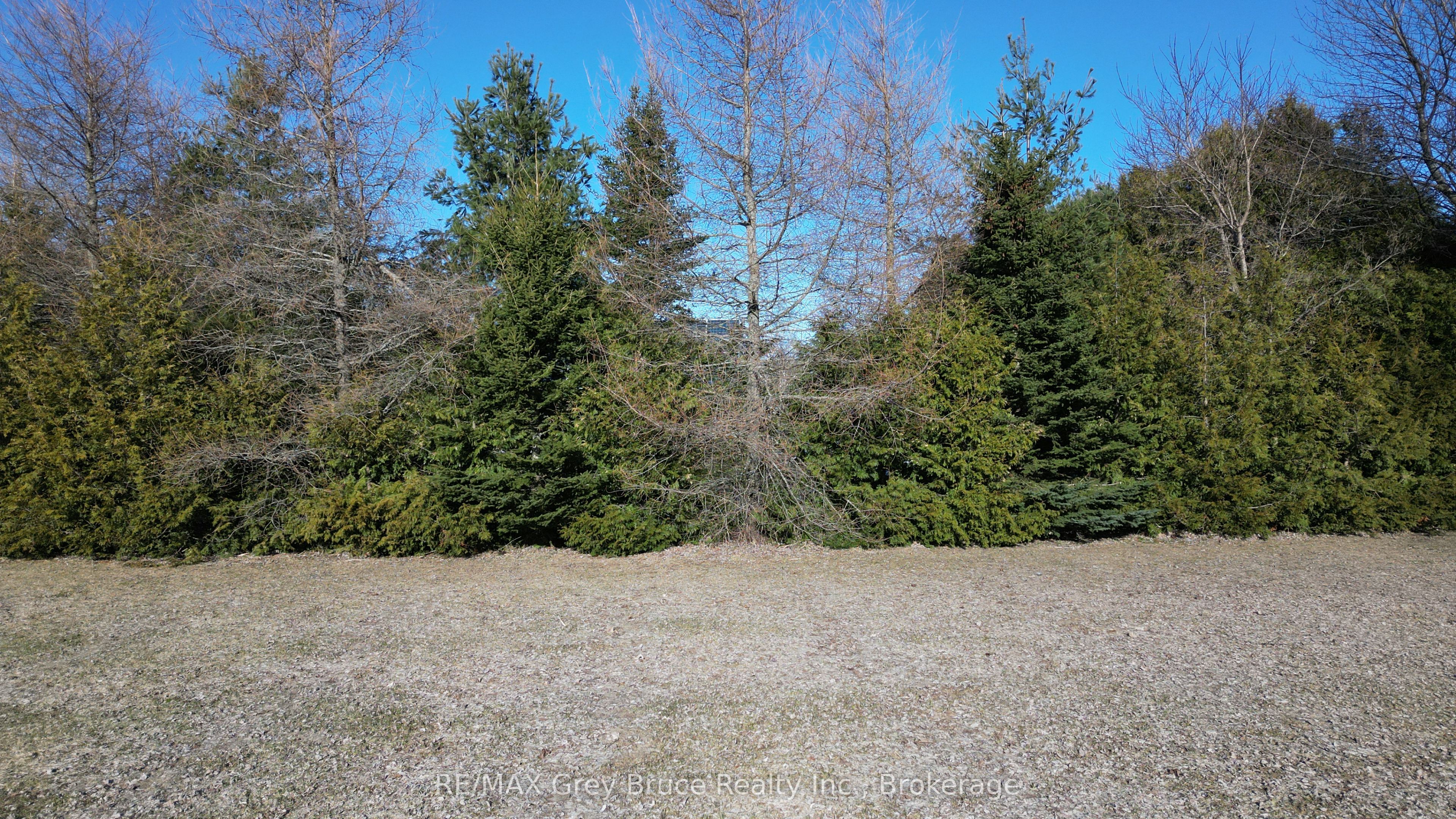 15 Bayfield Street Property Photo 22