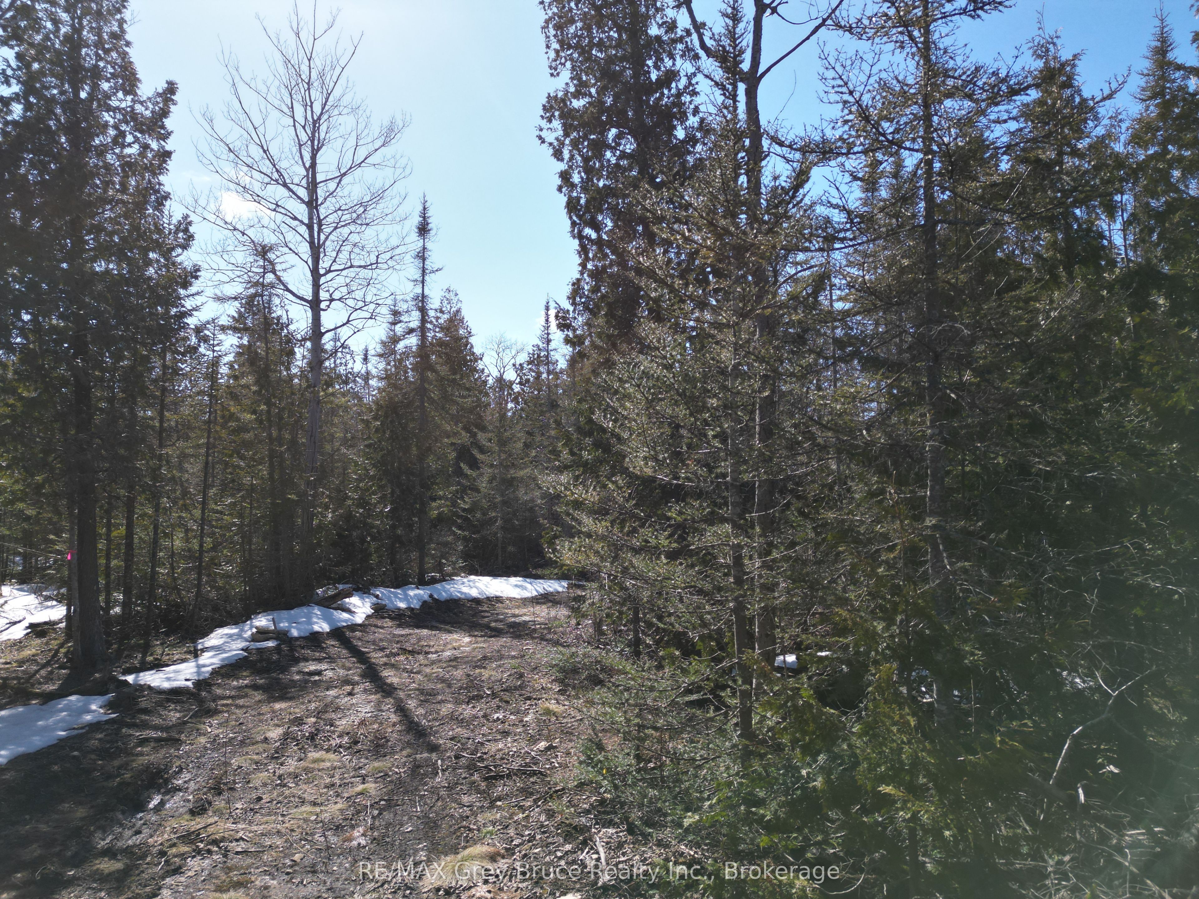 31 Baise Avenue Property Photo 13