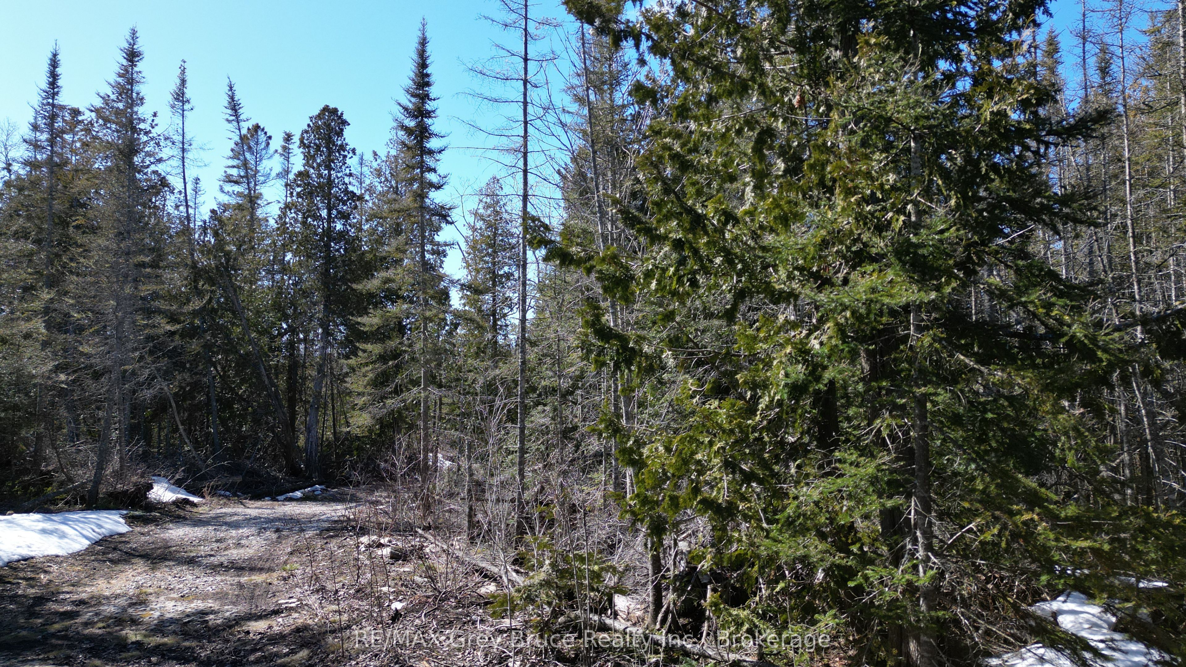 31 Baise Avenue Property Photo 18