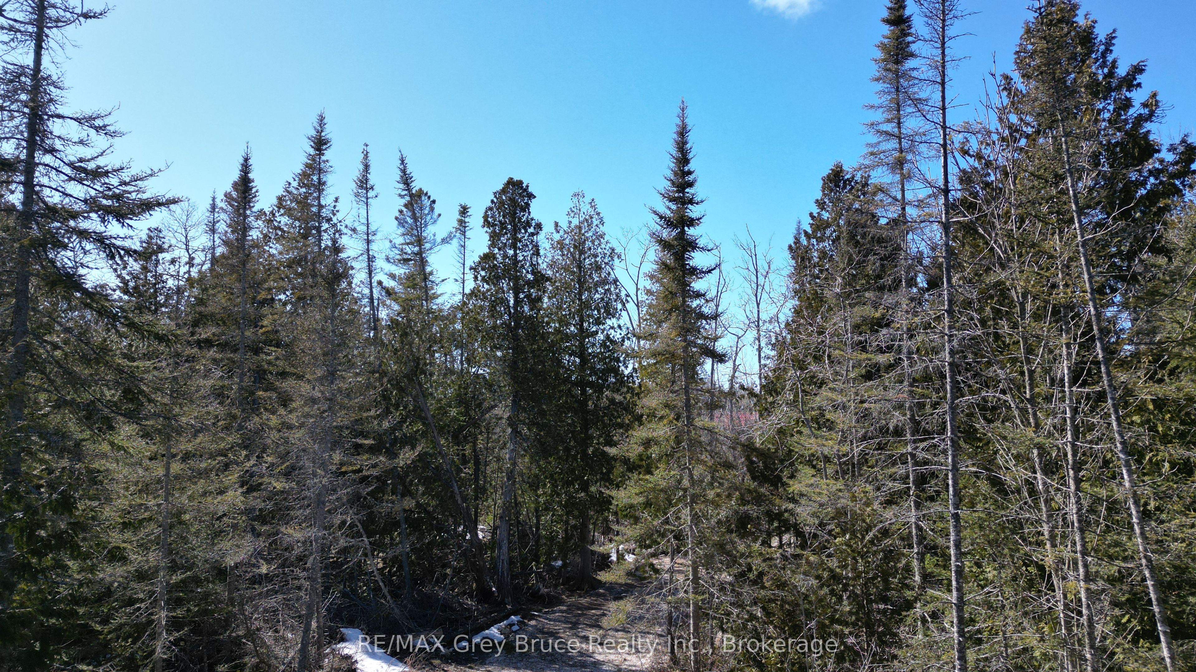 31 Baise Avenue Property Photo 19