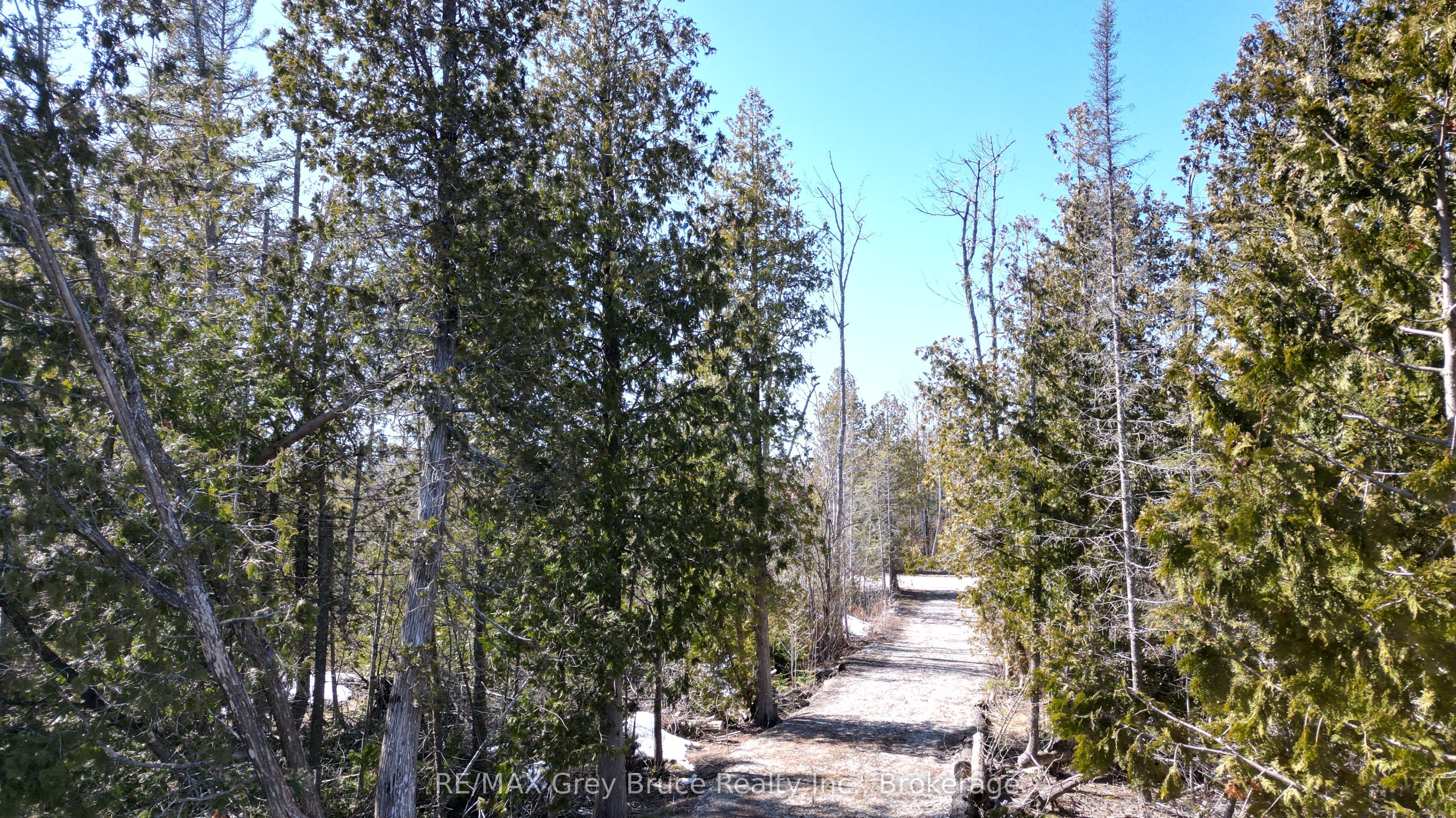31 Baise Avenue Property Photo 20