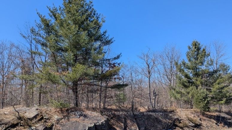 #lot 3 - 36 County Road Property Photo 2
