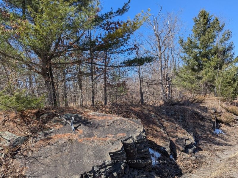 #lot 3 - 36 County Road Property Photo 3