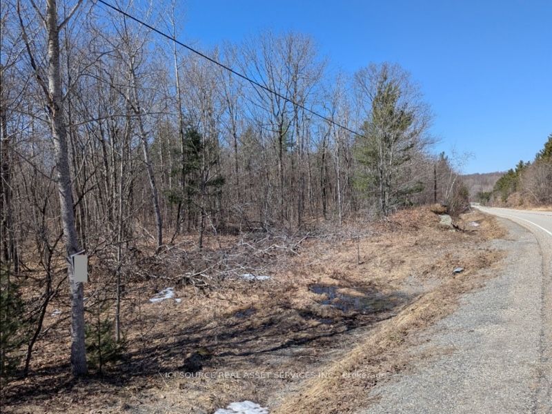 #lot 3 - 36 County Road Property Photo 4