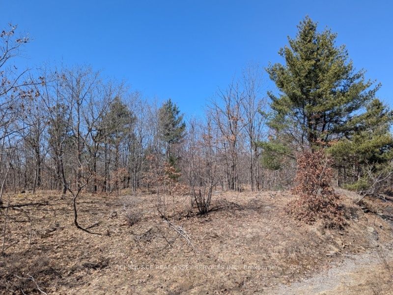 #lot 3 - 36 County Road Property Photo 5
