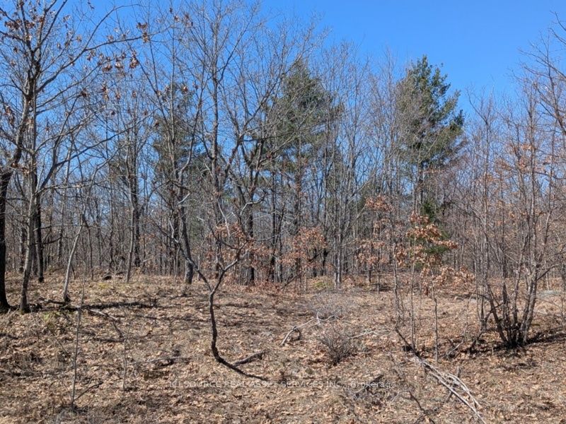 #lot 3 - 36 County Road Property Photo 6