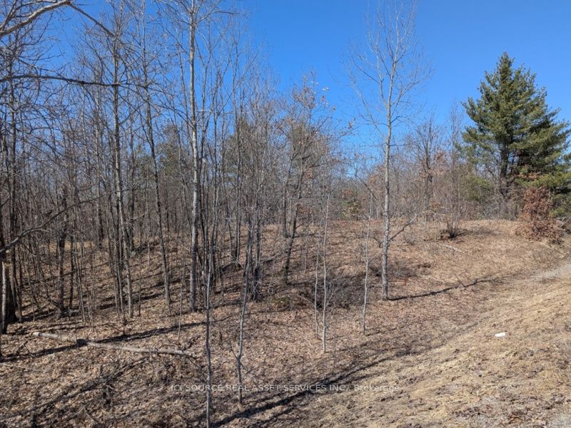 #lot 3 - 36 County Road Property Photo 7