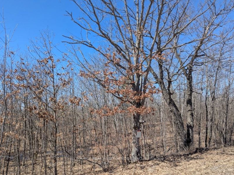 #lot 3 - 36 County Road Property Photo 8