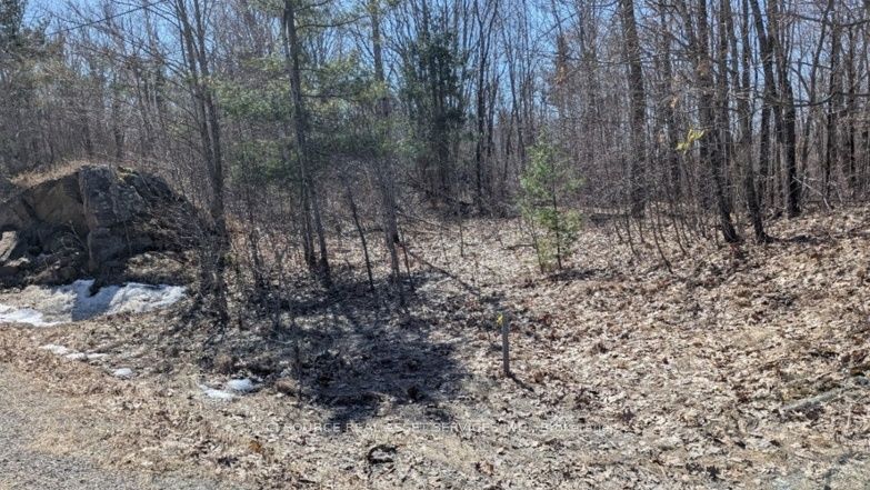 #lot 3 - 36 County Road Property Photo 11