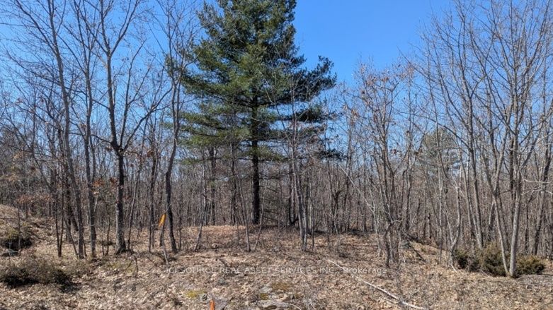 #lot 3 - 36 County Road Property Photo 13