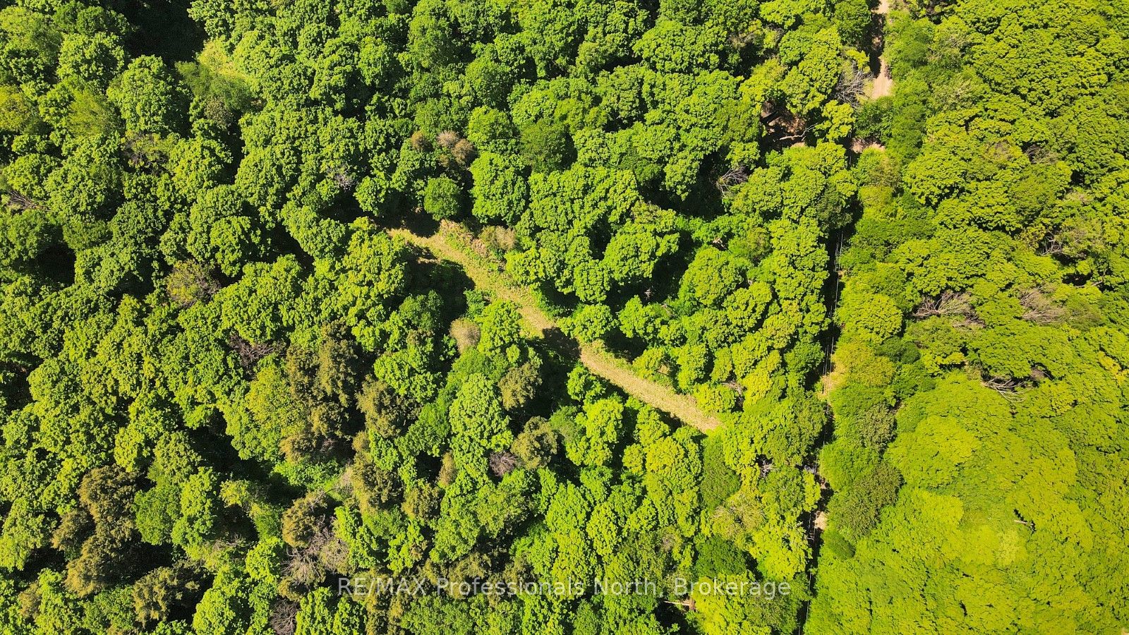 Lot 166 Glen Lake Court Property Photo