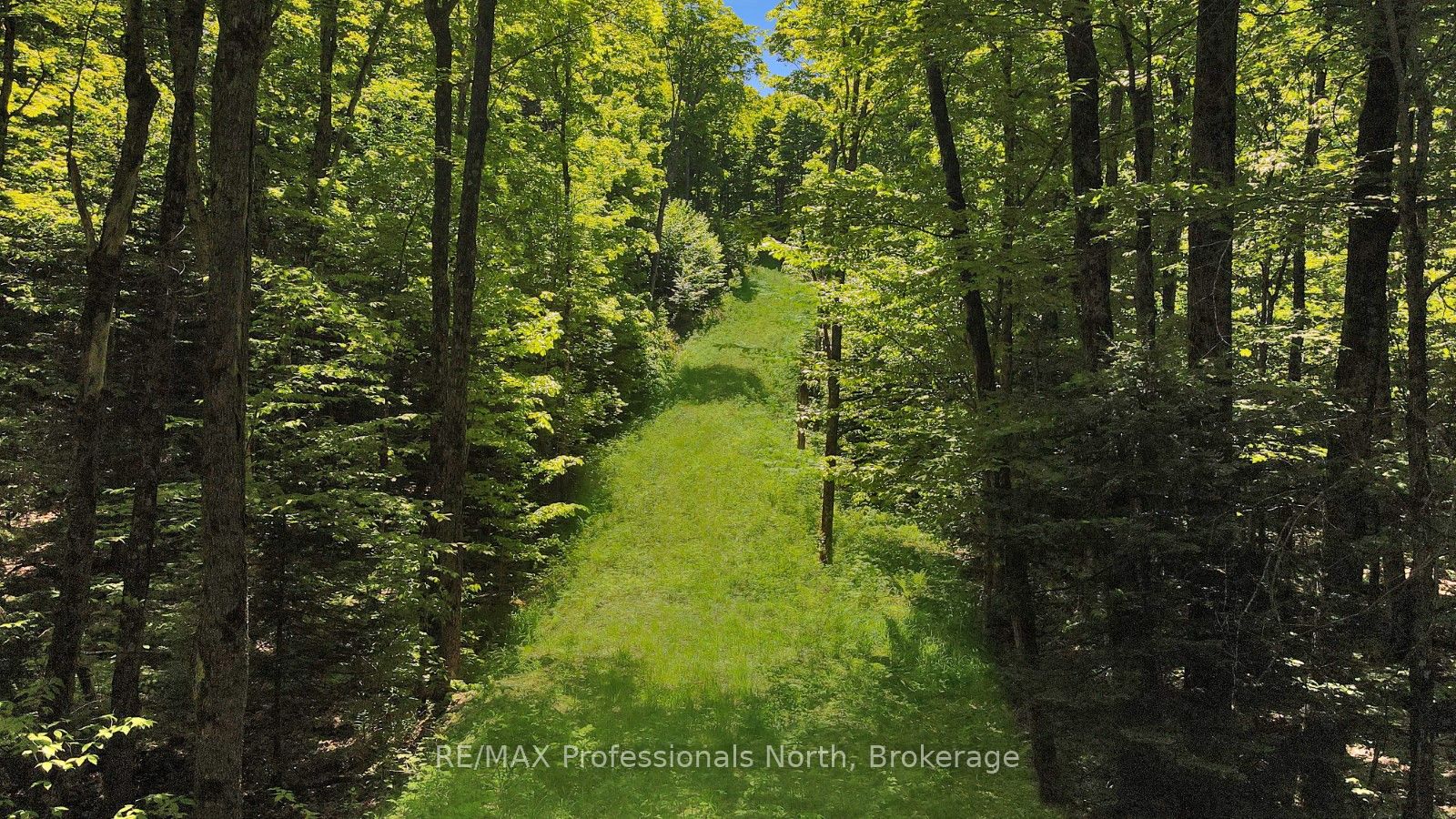 Lot 166 Glen Lake Court Property Photo 2