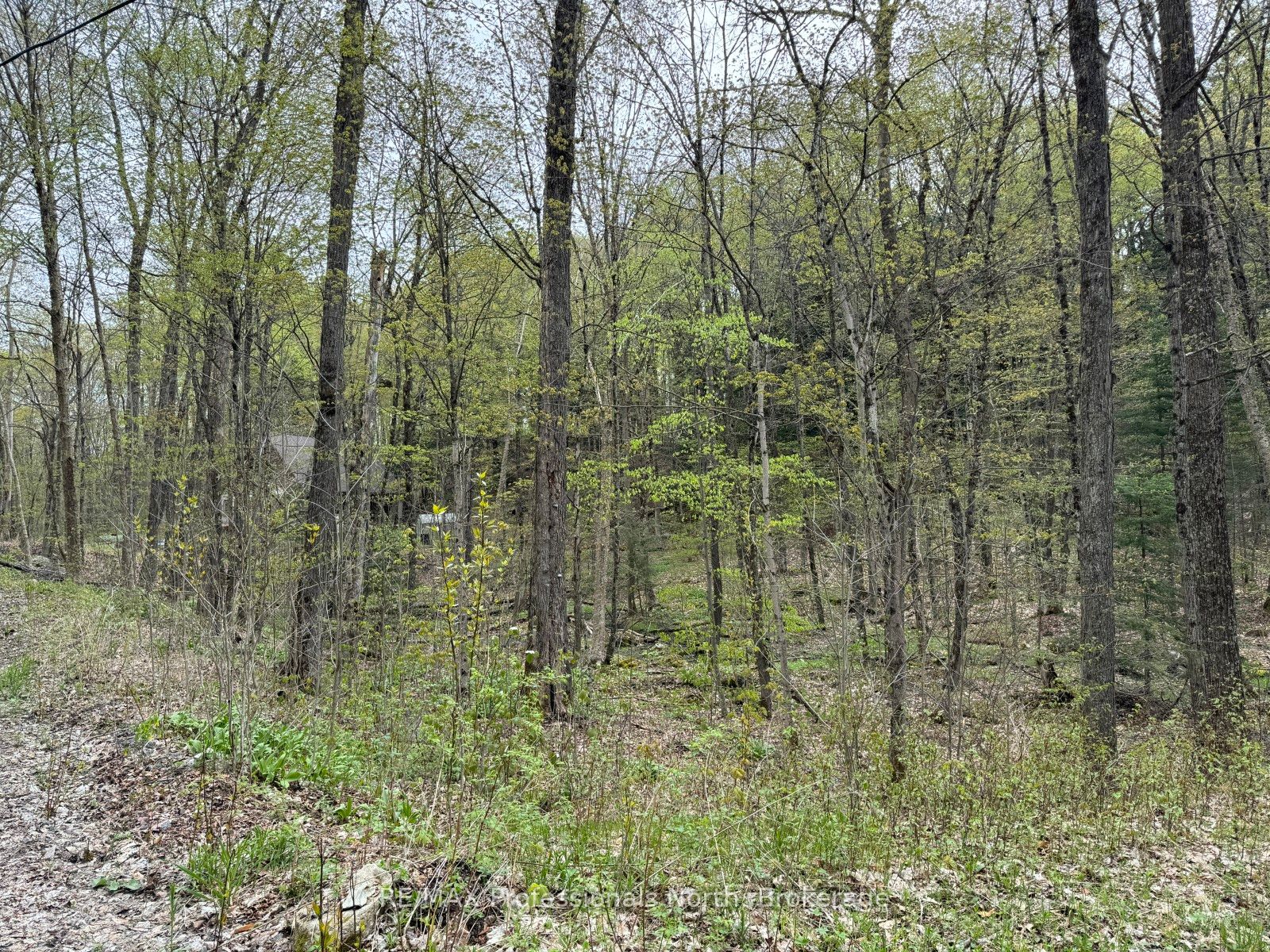 Lot 166 Glen Lake Court Property Photo 7