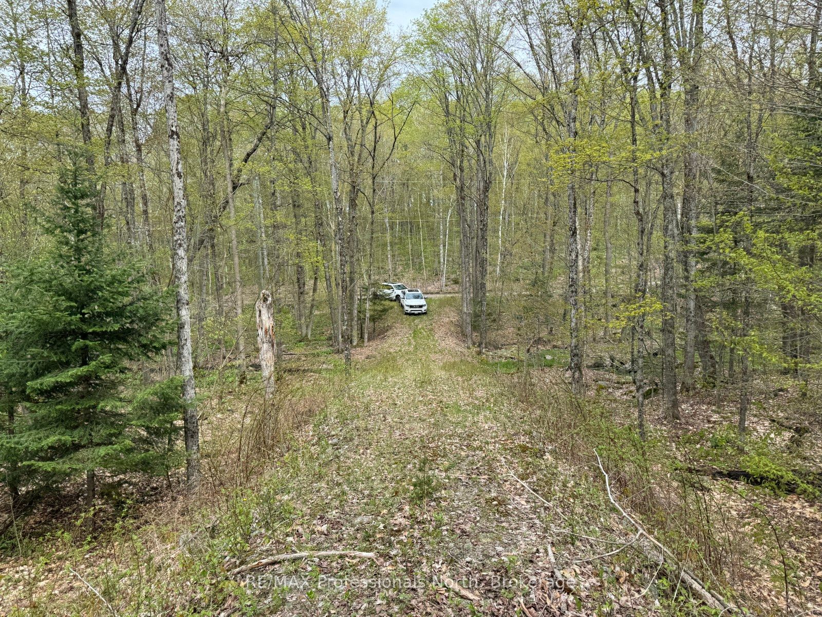 Lot 166 Glen Lake Court Property Photo 9