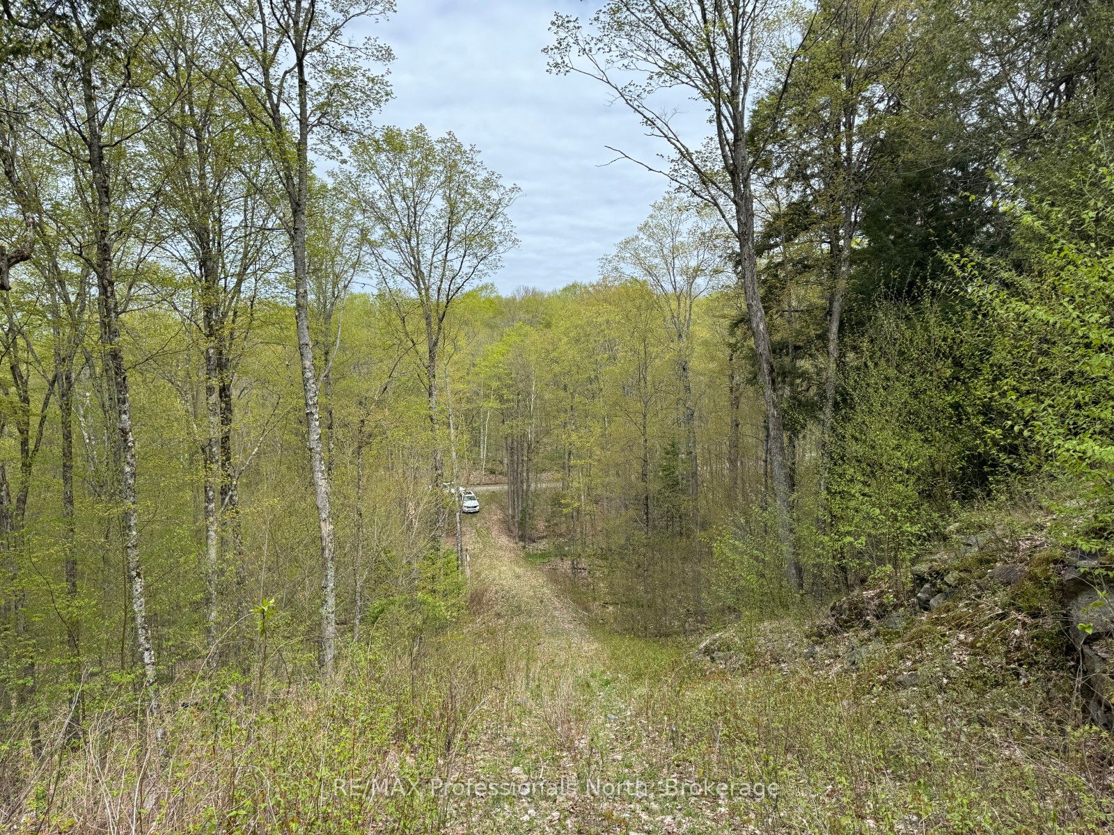 Lot 166 Glen Lake Court Property Photo 10