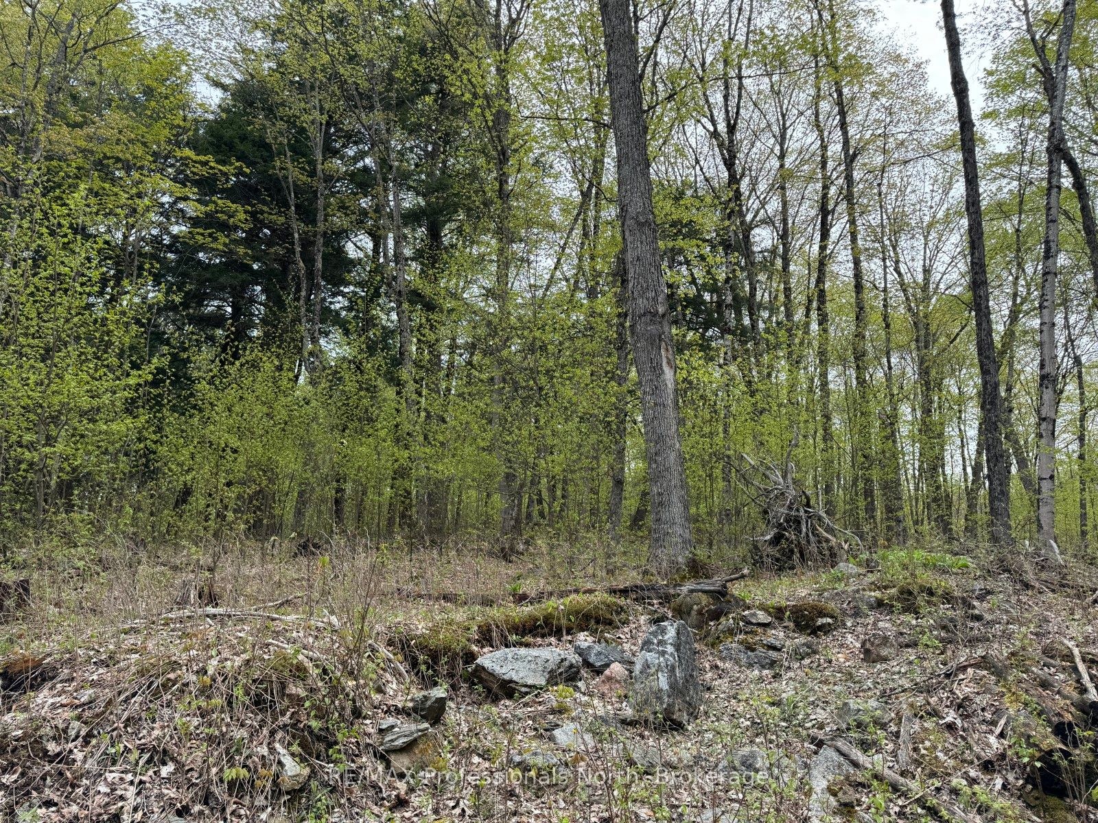 Lot 166 Glen Lake Court Property Photo 11