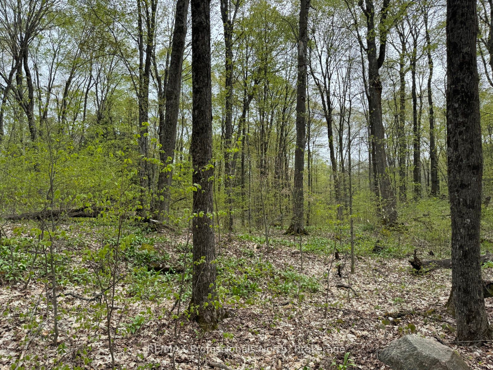 Lot 166 Glen Lake Court Property Photo 12
